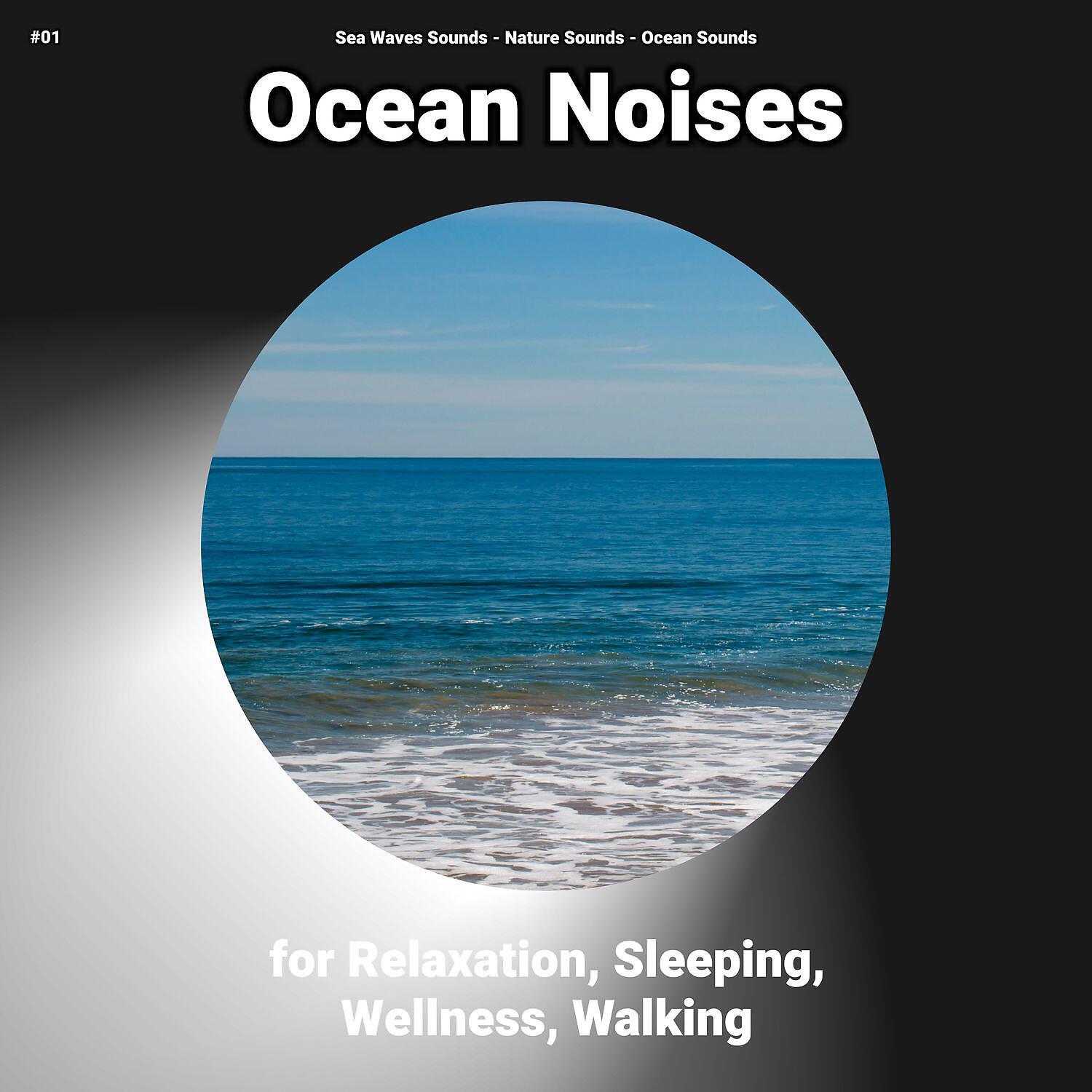 Sea Waves Sounds - Ocean Noises for Relaxation and Sleeping Pt. 47