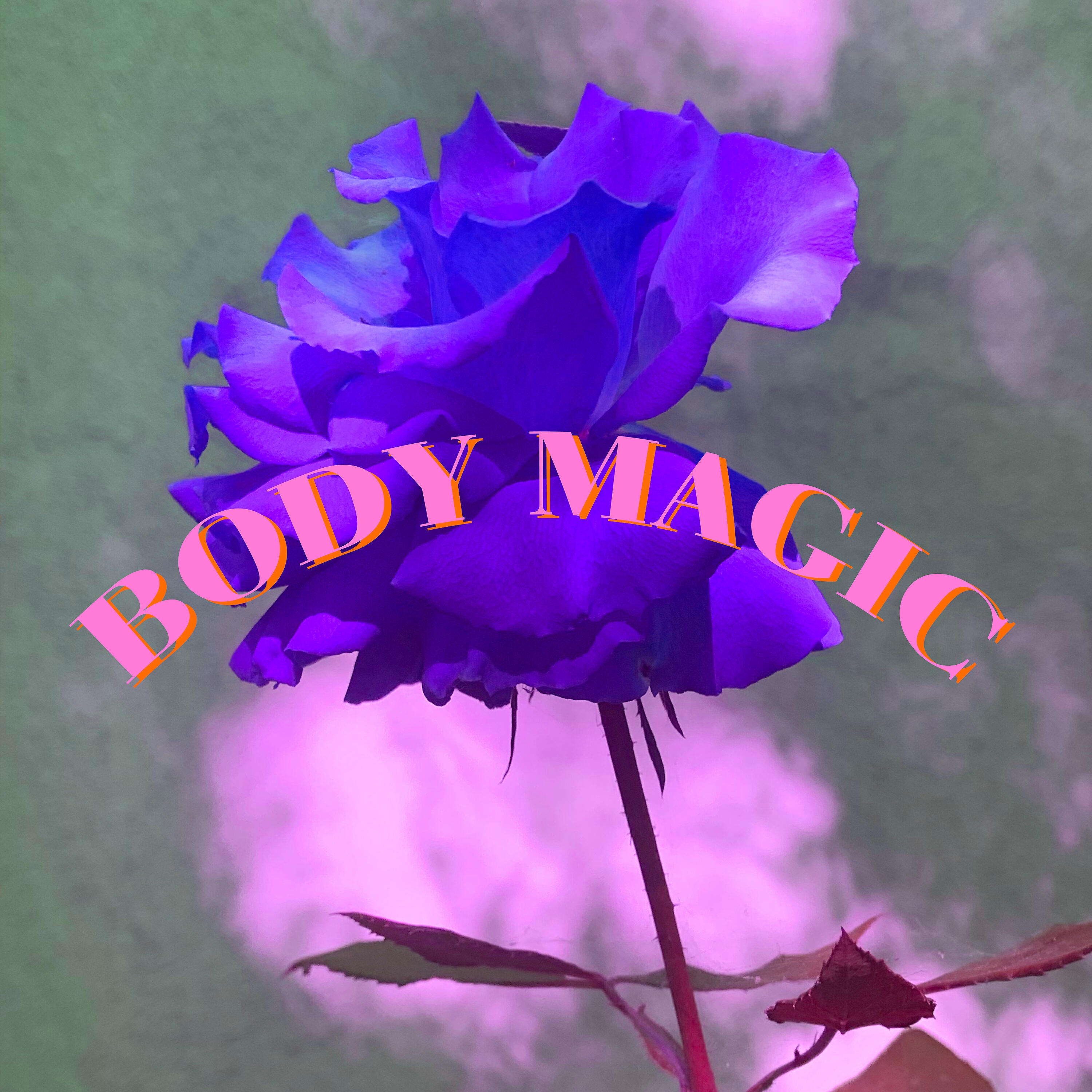 Body Magic - Sonic Seniors