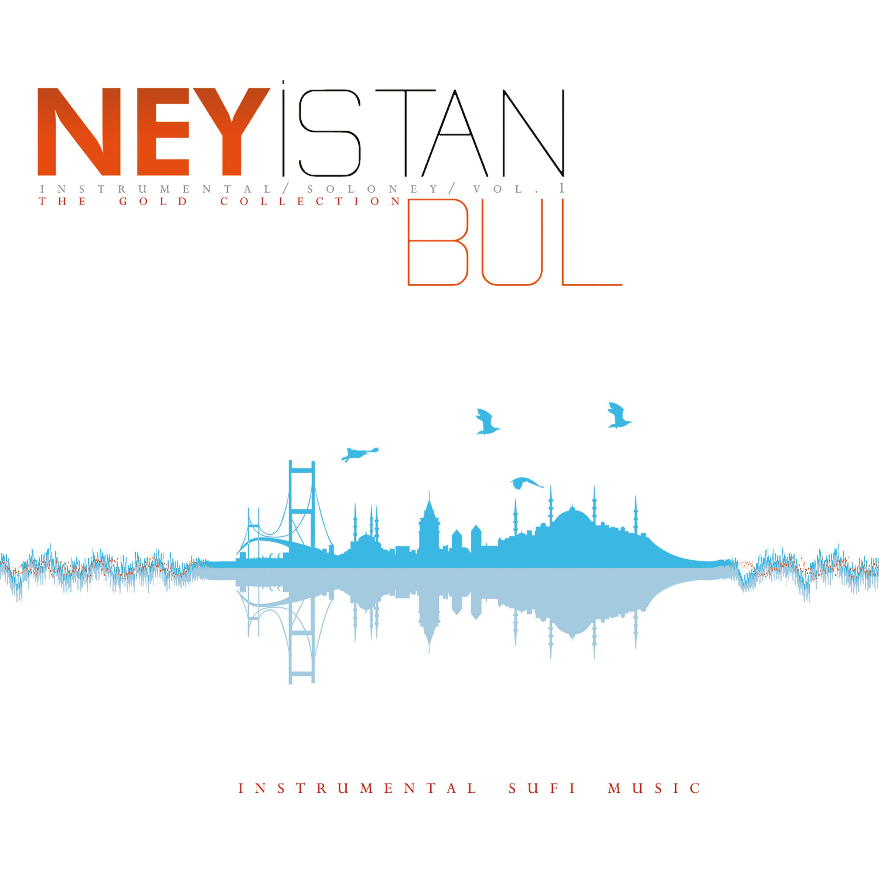 Постер альбома Ney İstanbul