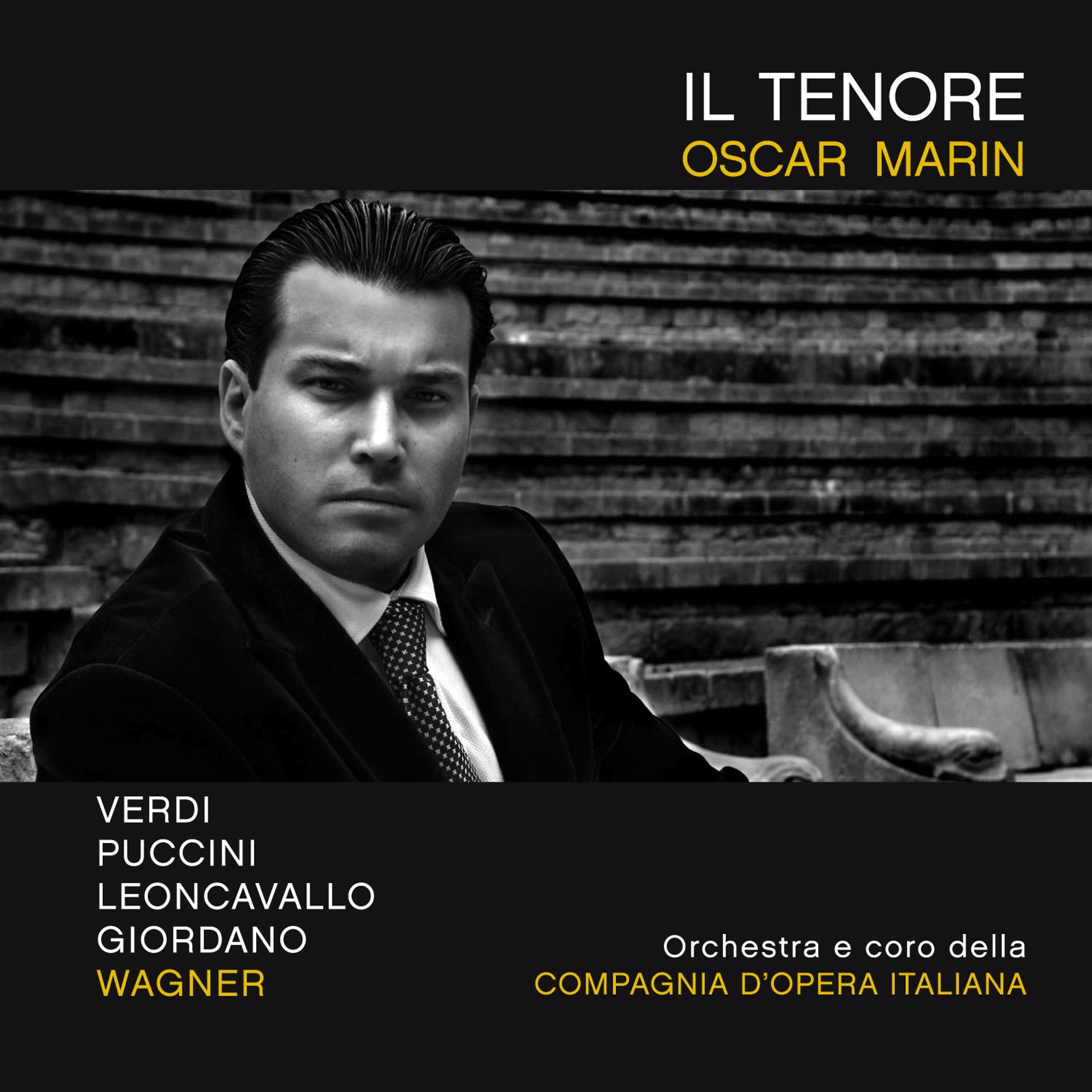 Постер альбома Il Tenore