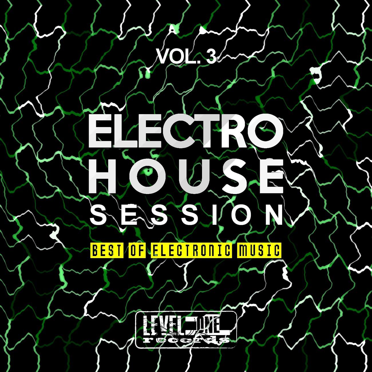 Постер альбома Electro House Session, Vol. 3