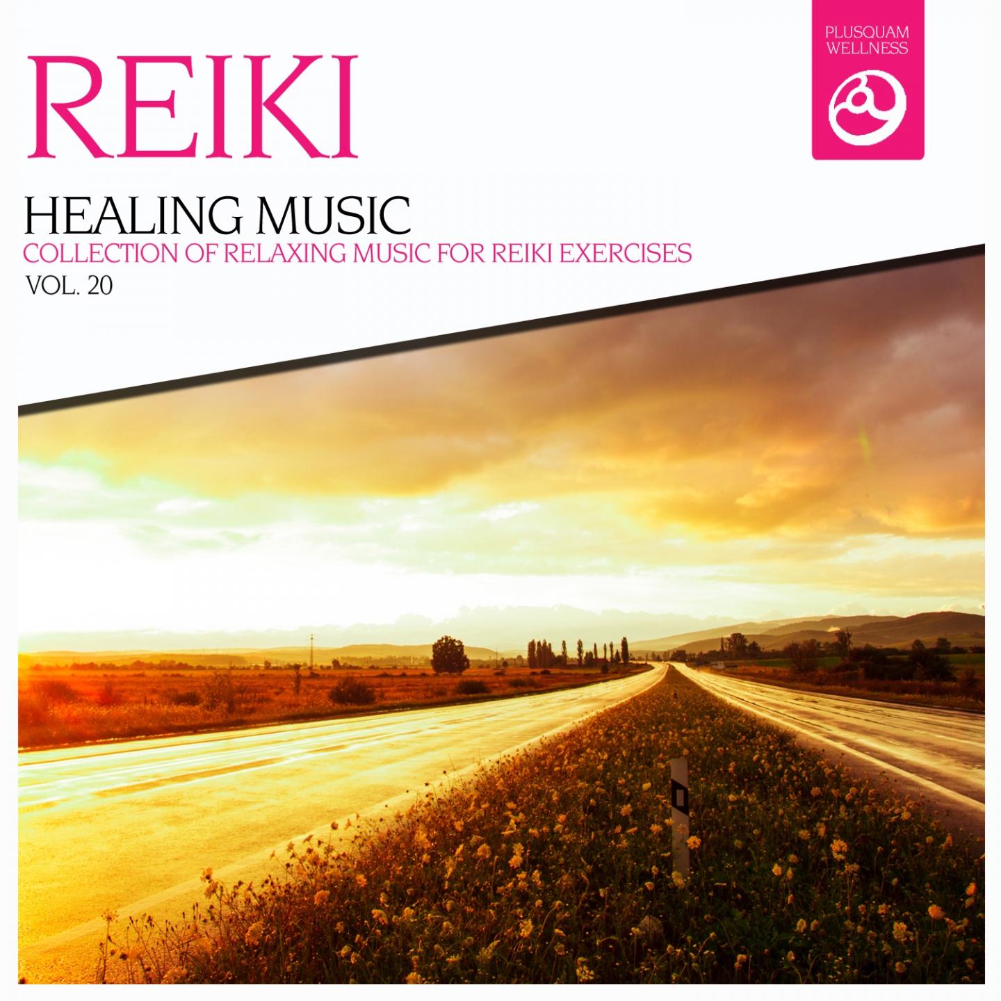 Постер альбома Reiki Healing Music, Vol. 20