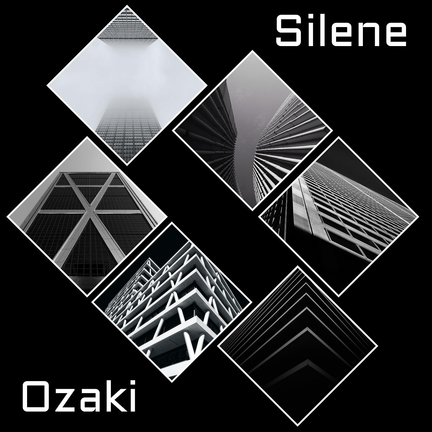 Постер альбома Ozaki