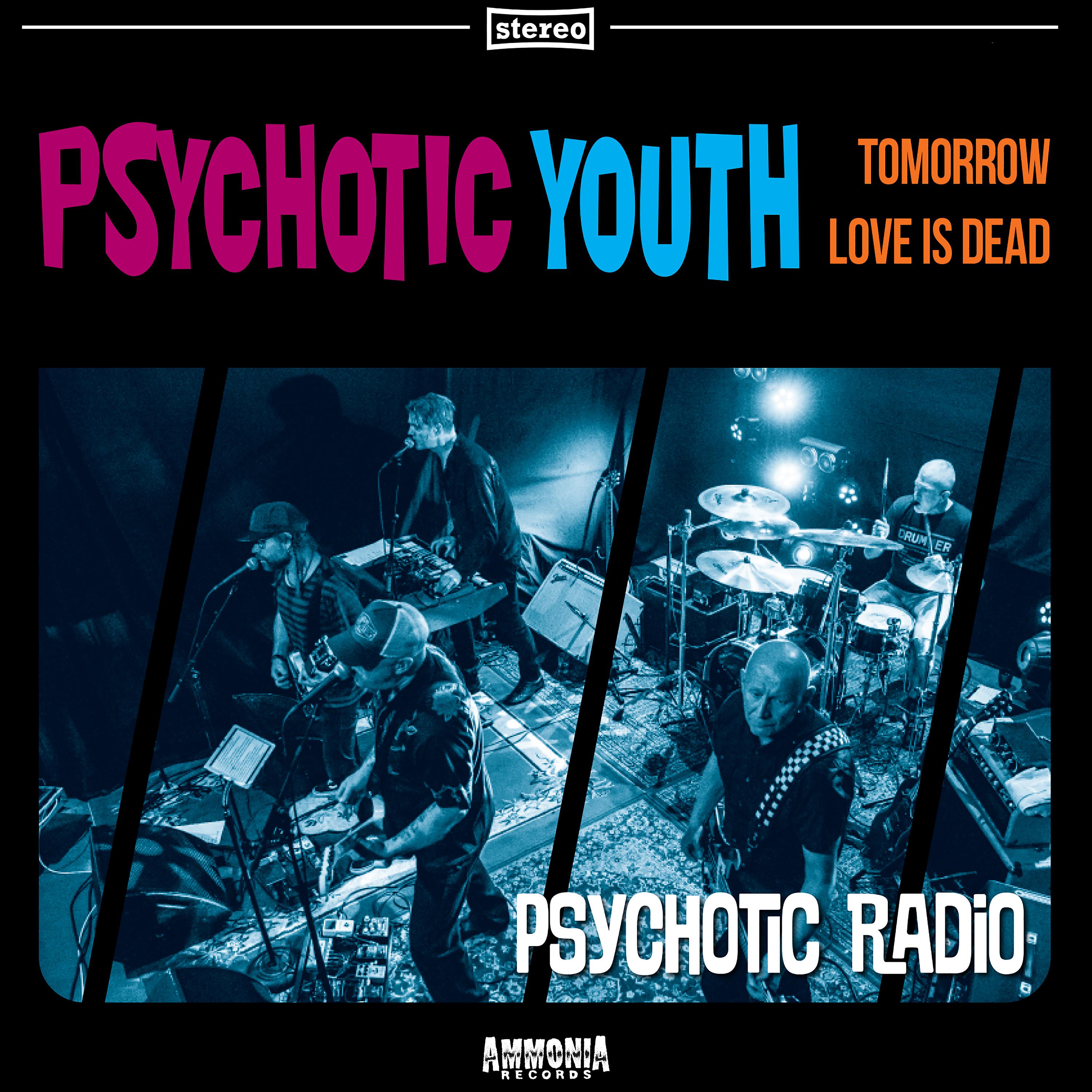 Постер альбома Psychotic Radio