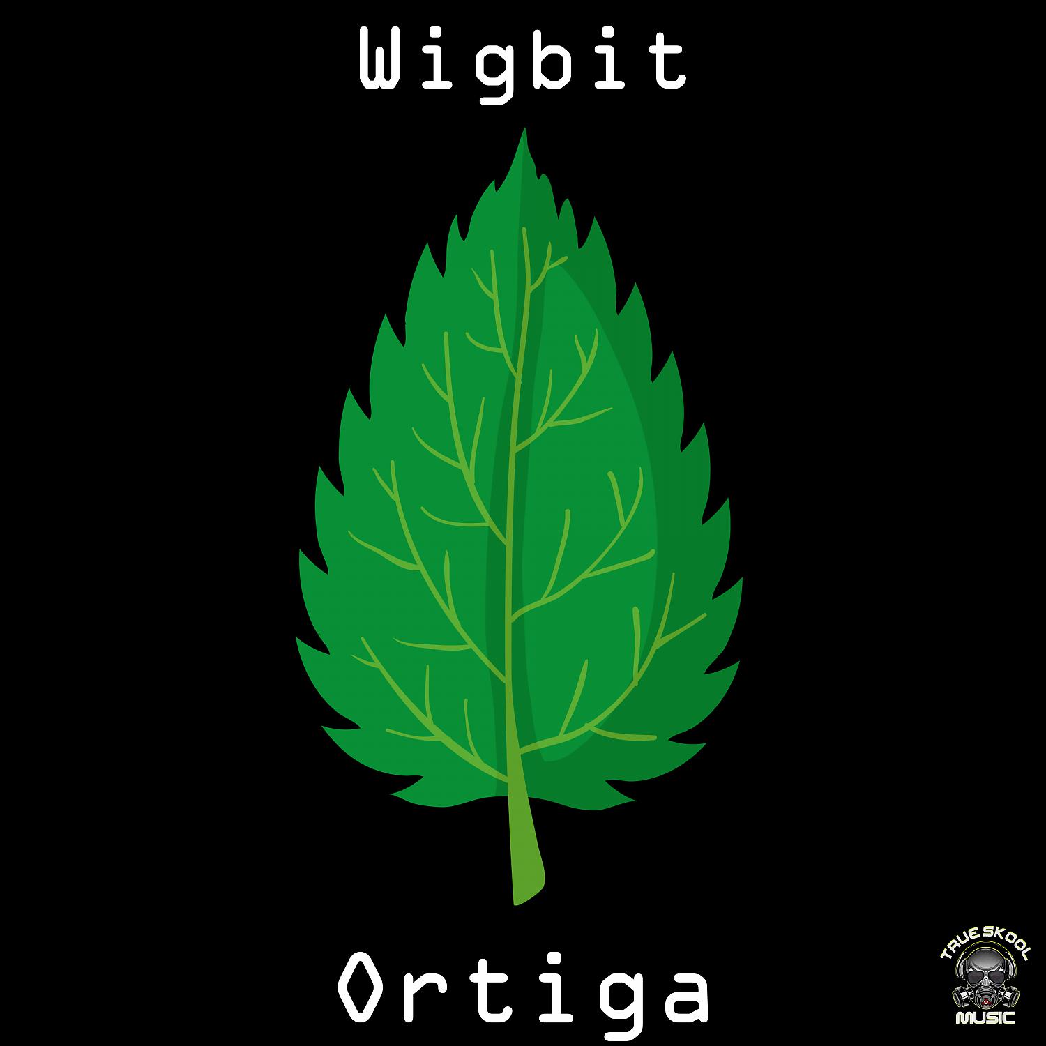 Постер альбома Ortiga