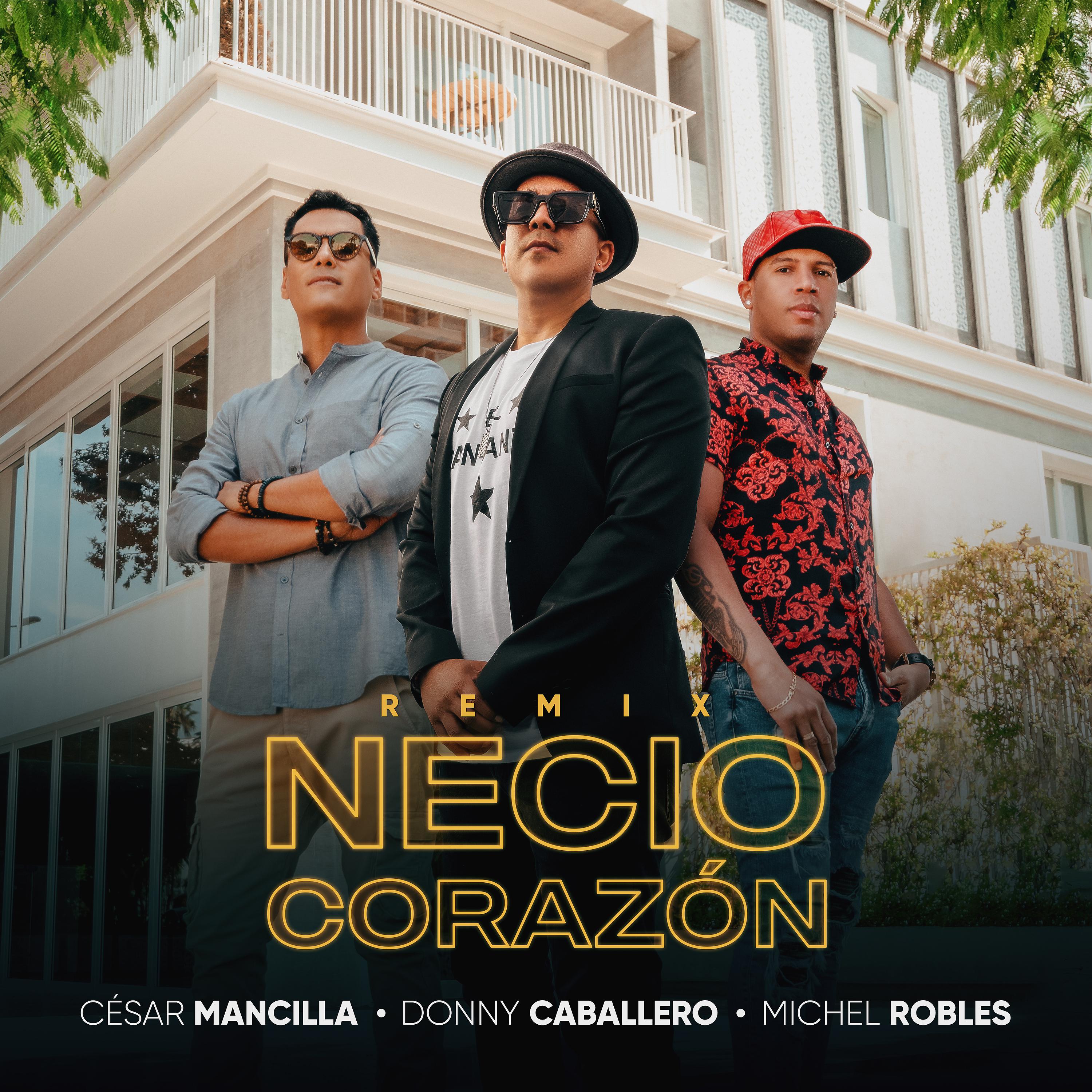 Постер альбома Necio Corazón (Remix Salsa)