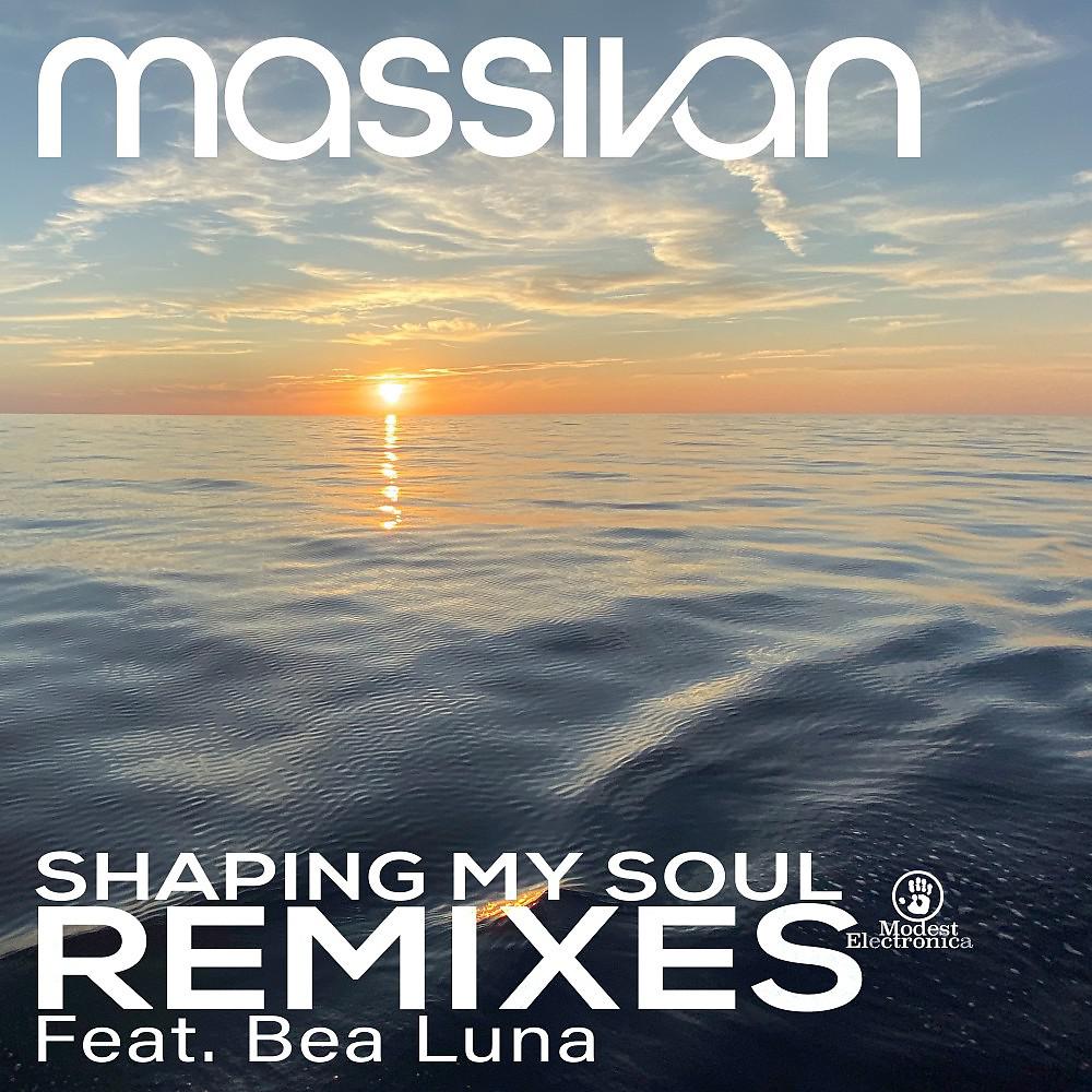 Постер альбома Shaping My Soul (Remixes)