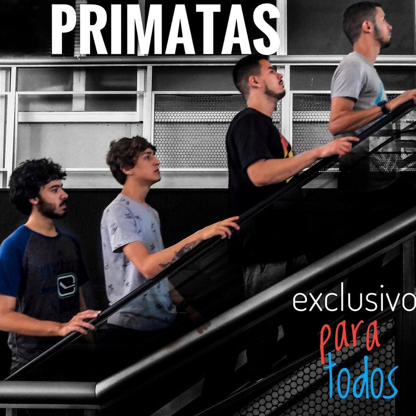 Os Primatas - Quem Tem Medo da Cuca