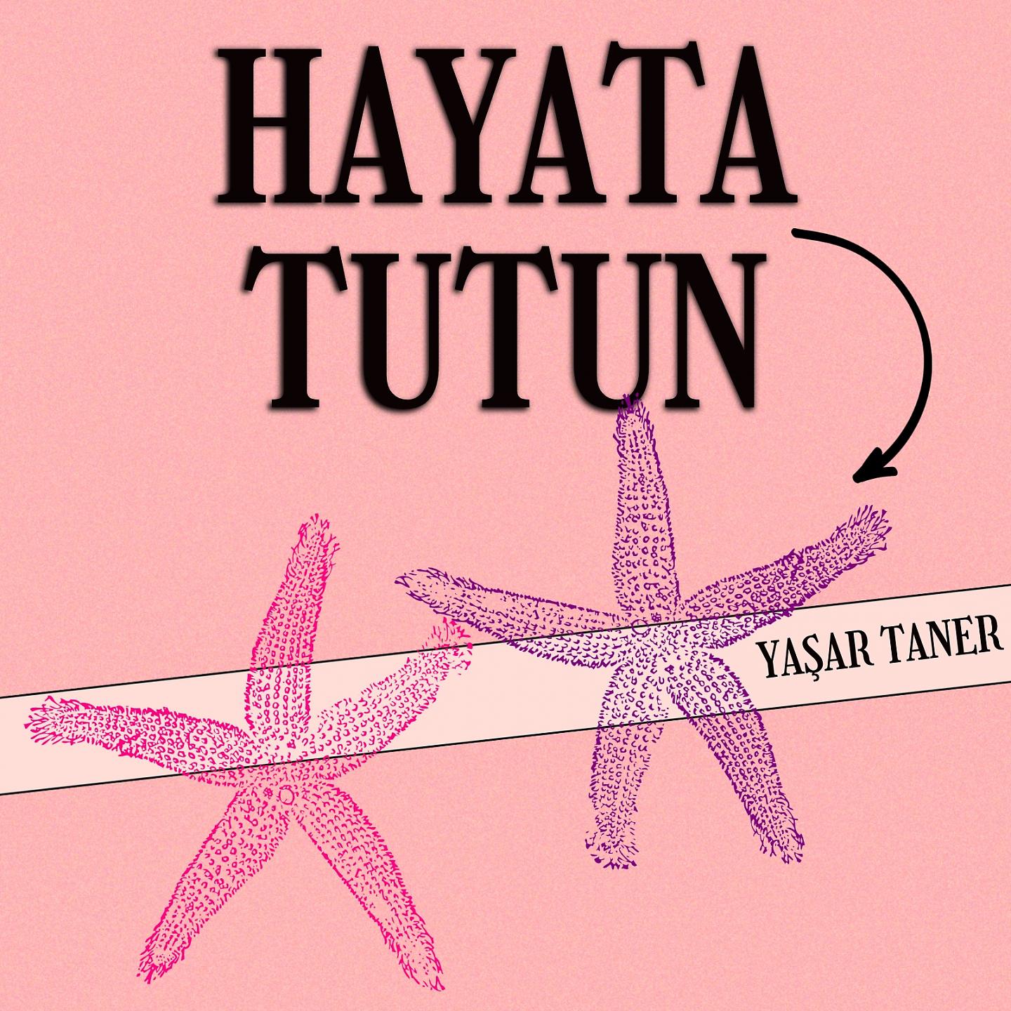 Постер альбома Hayata Tutun