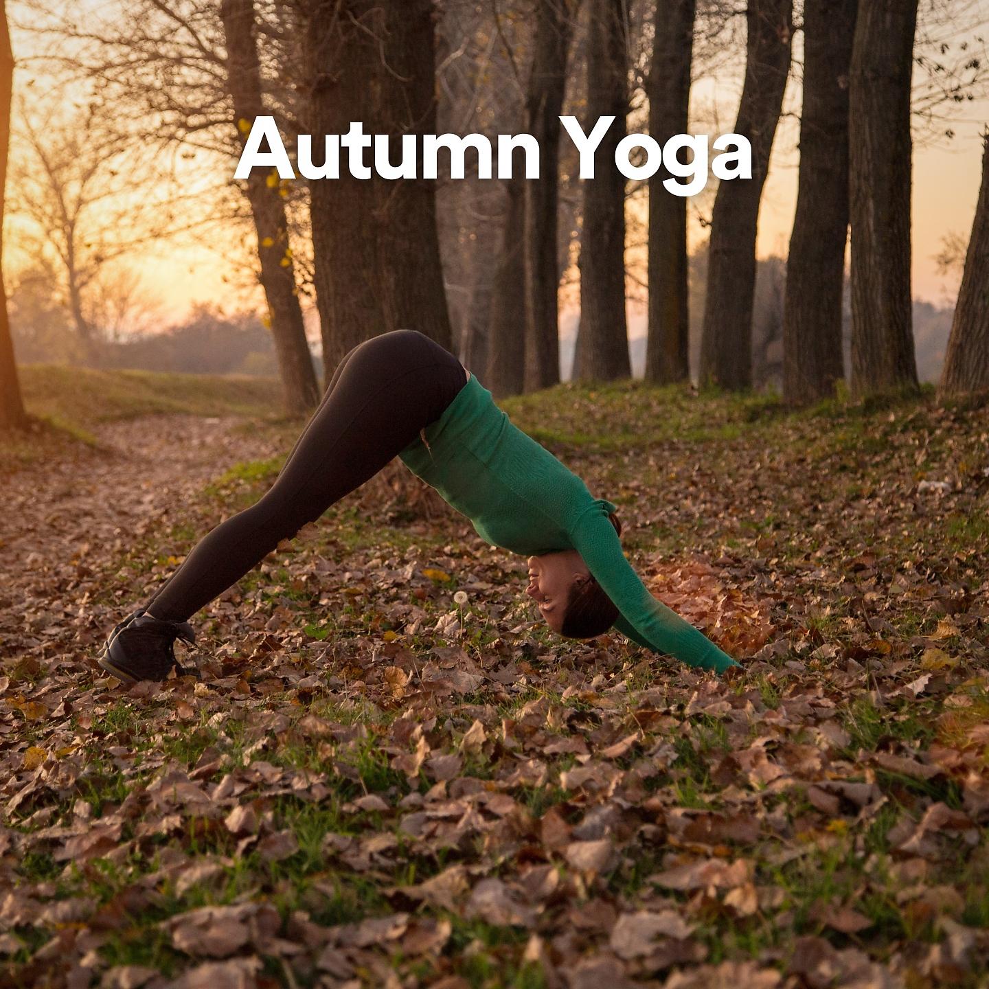 Постер альбома Autumn Yoga