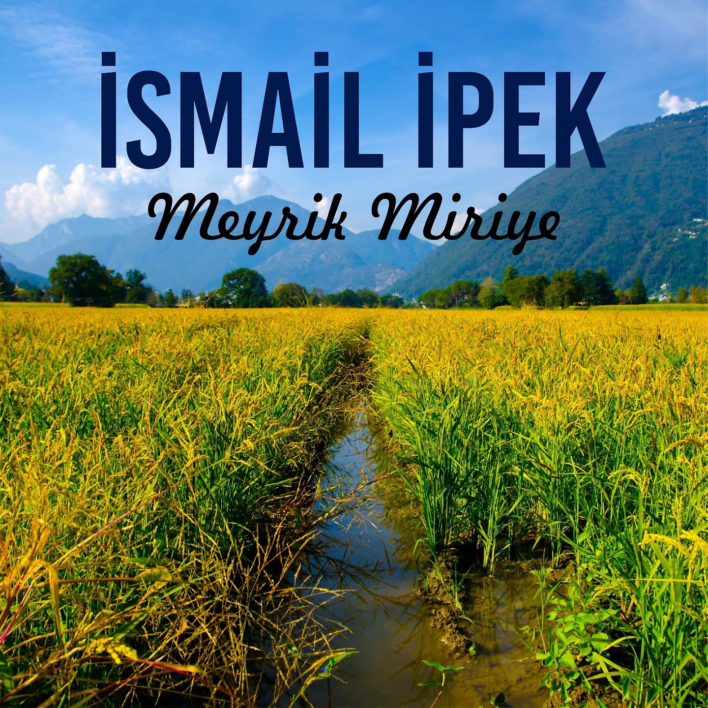 Постер альбома Meyrik Miriye