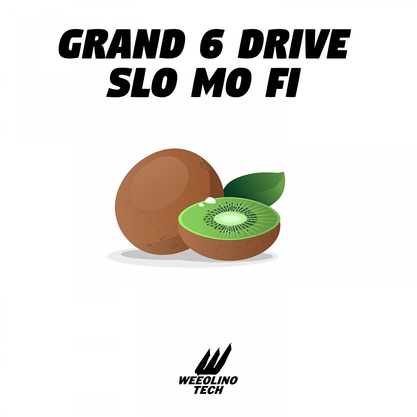 Grand 6 Drive - expertise