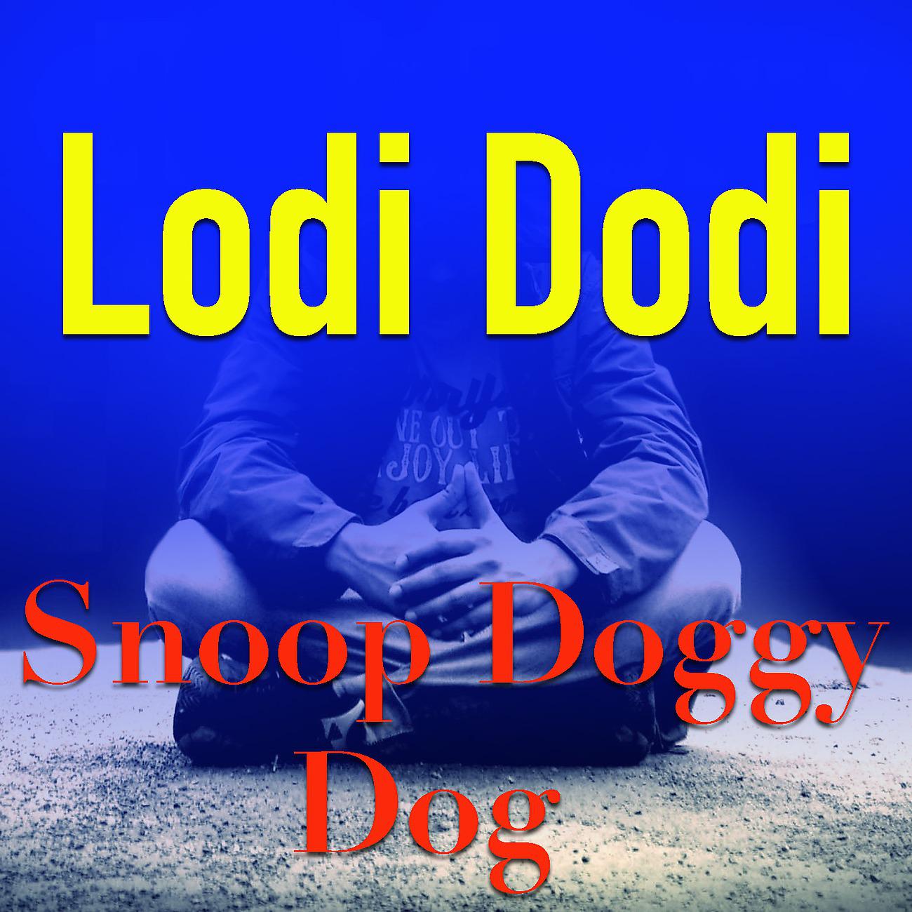 Постер альбома Lodi Dodi