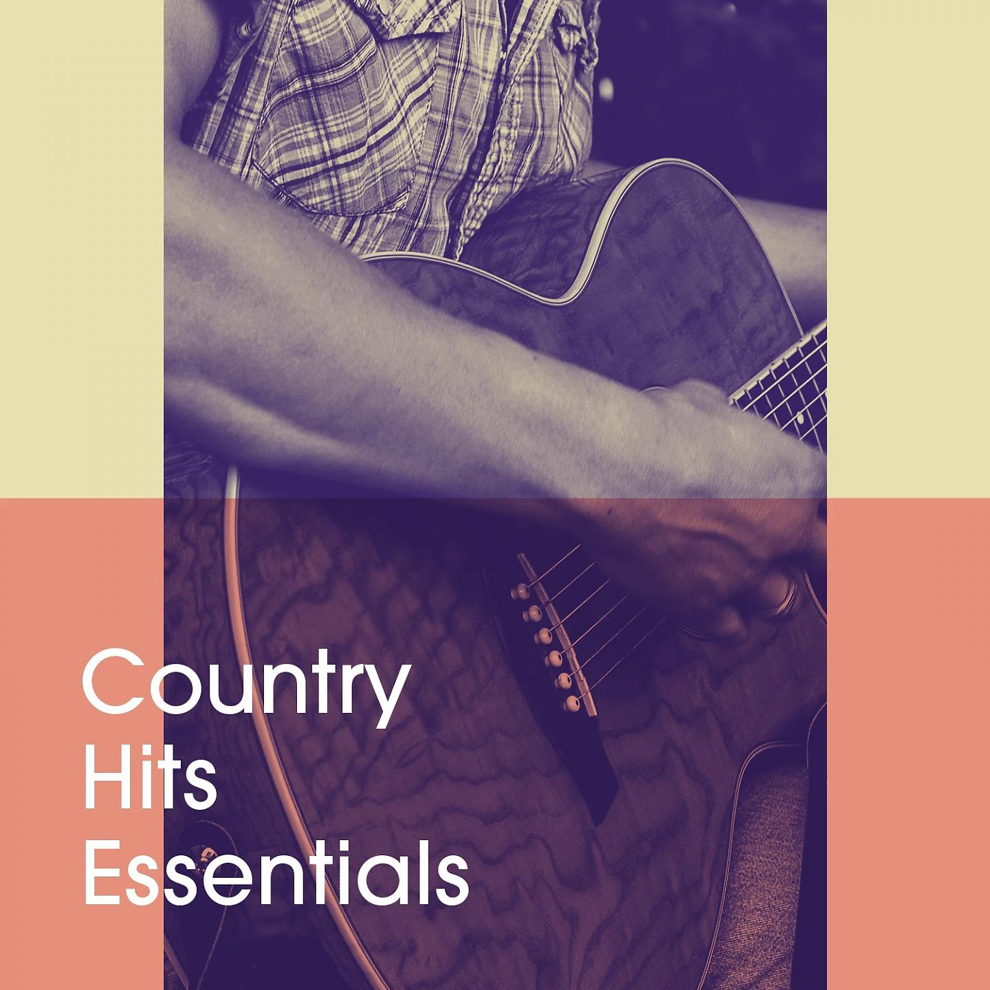 Постер альбома Country Hits Essentials