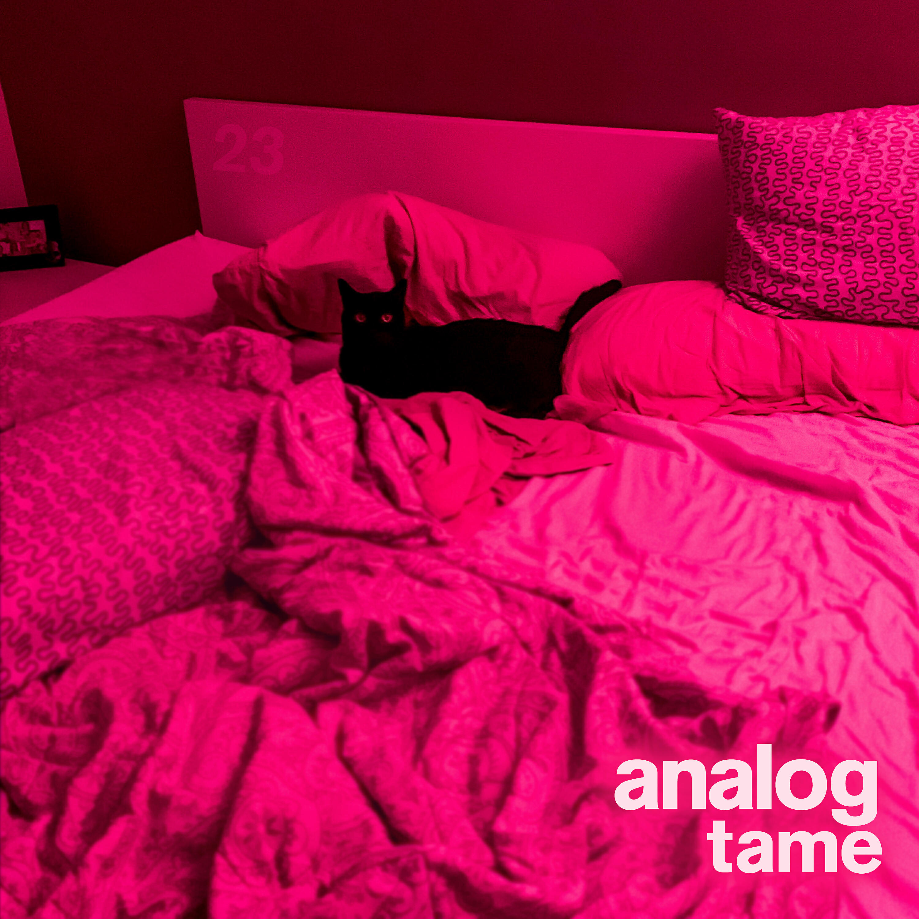 Analog - Tame