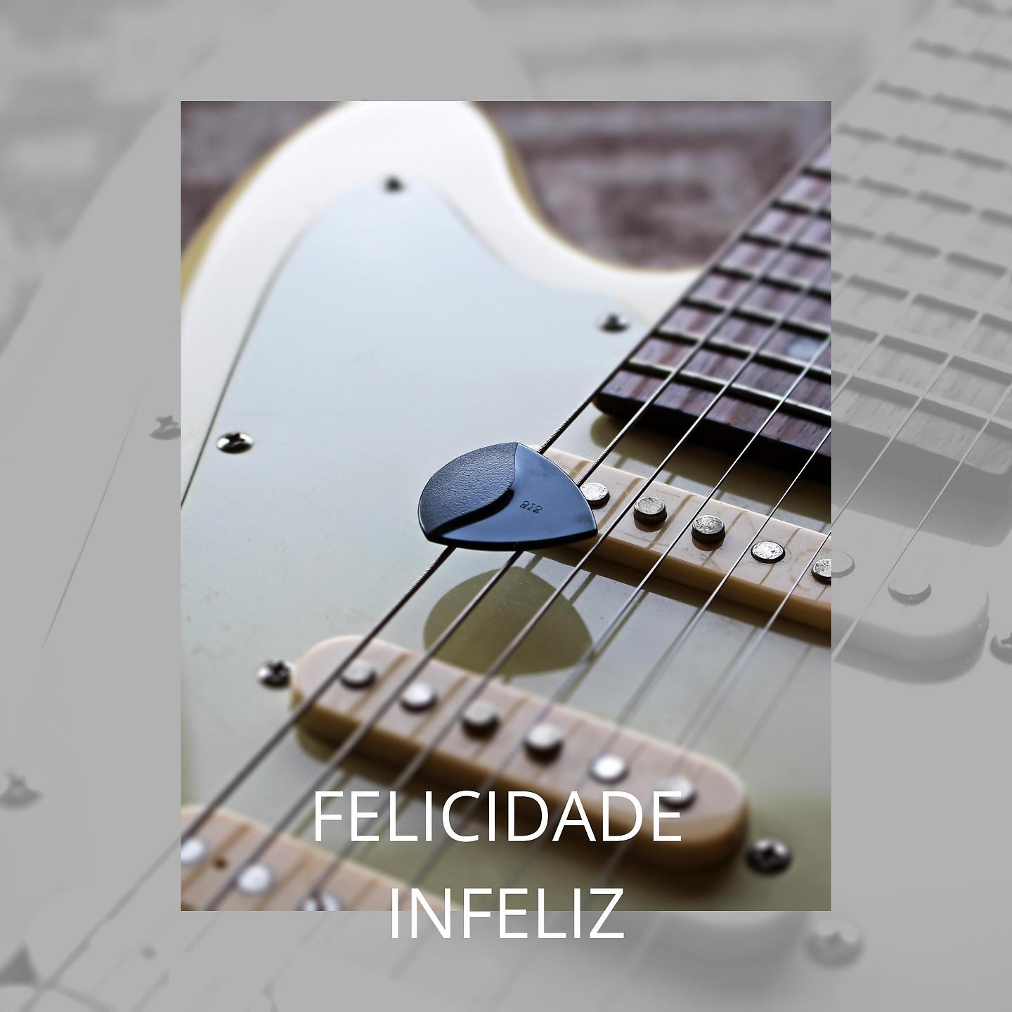 Постер альбома Felicidade Infeliz
