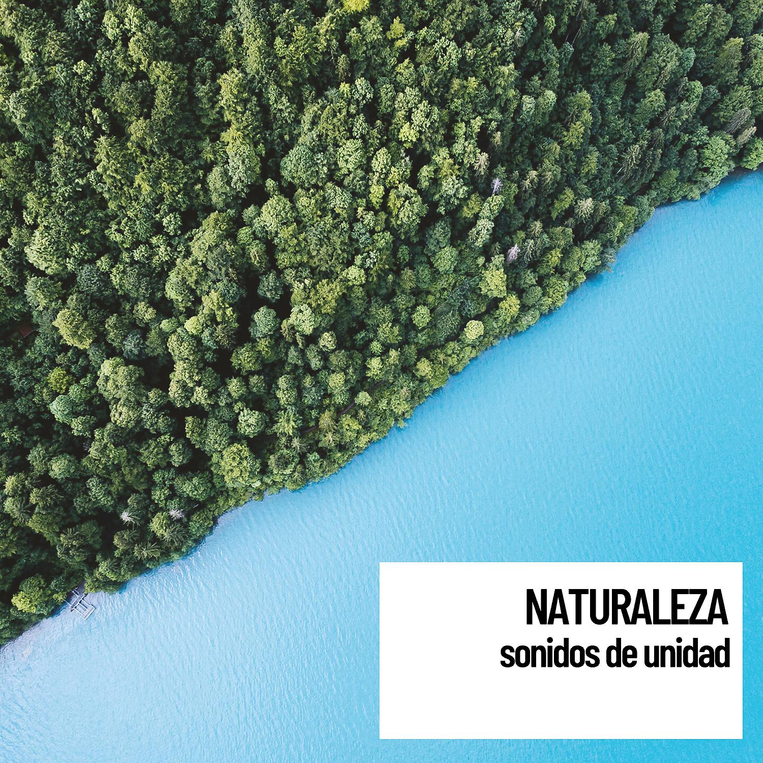 Постер альбома Naturaleza: sonidos de unidad