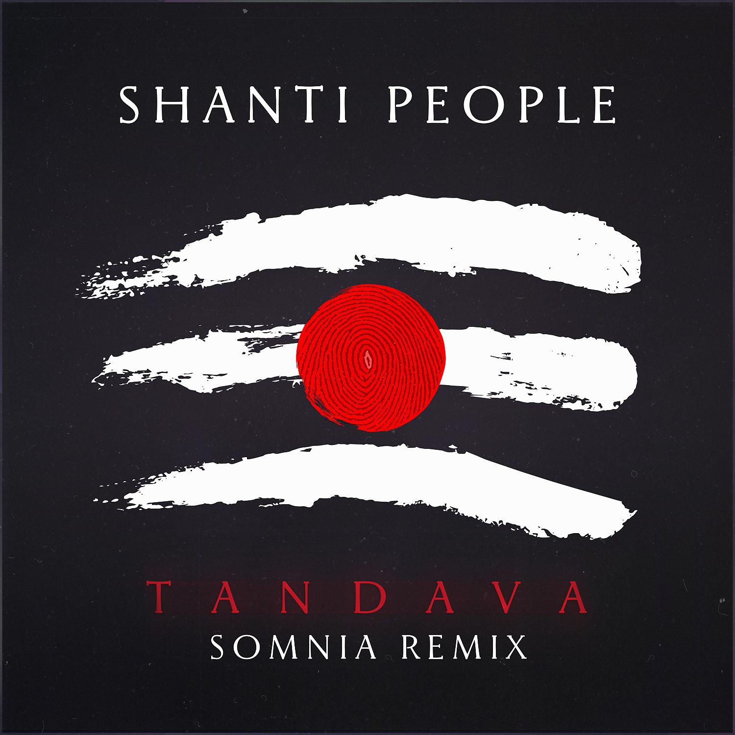 Постер альбома Tandava (Remix)