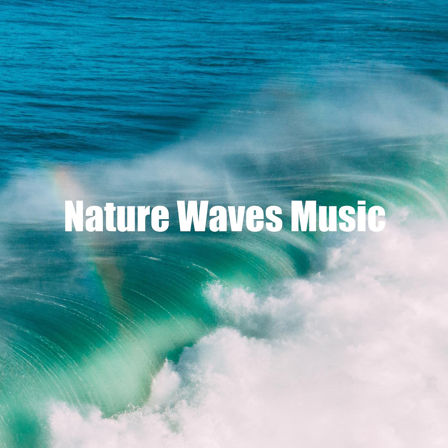 Постер альбома Nature Waves Music