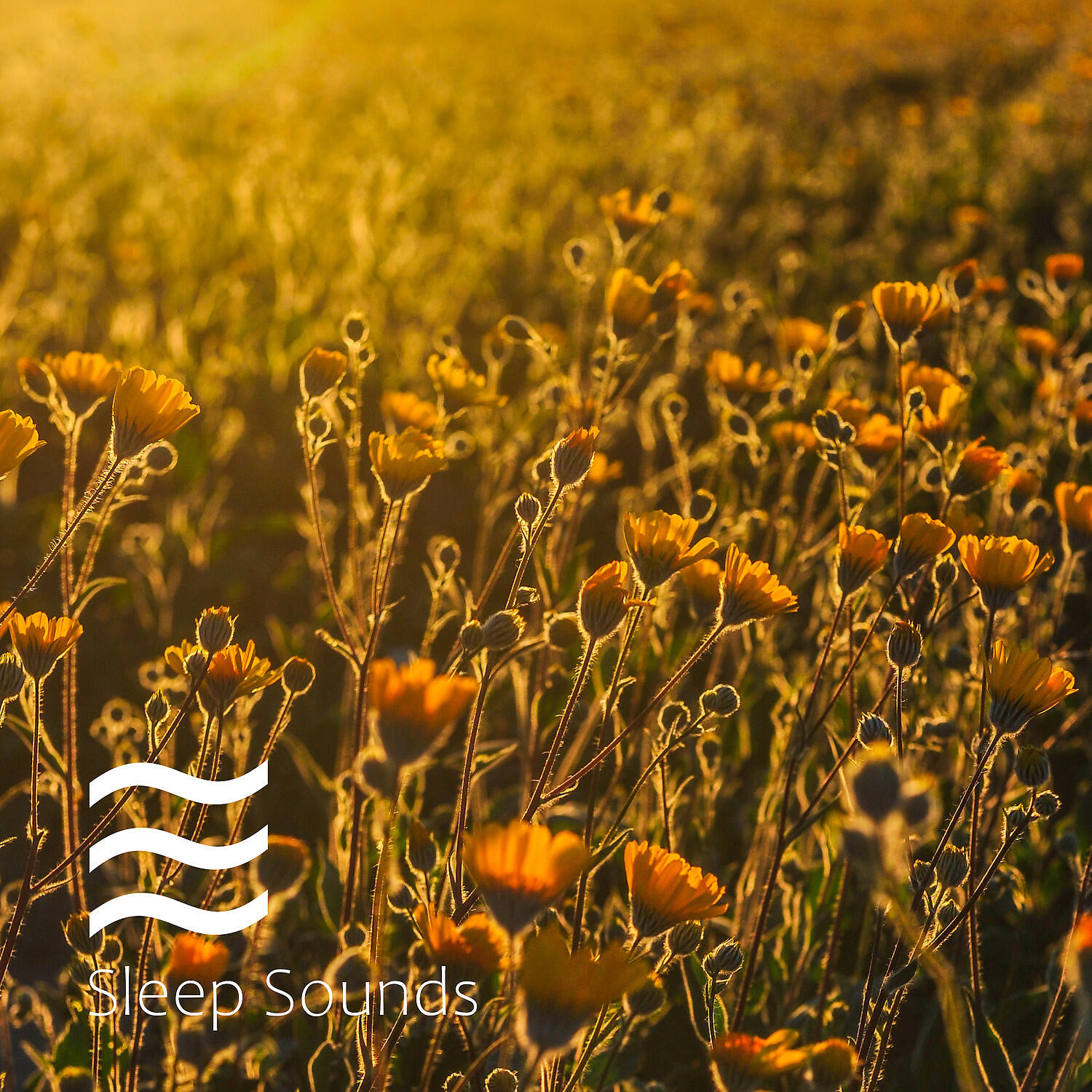 Szum dla sennych dzieci - Bialy lagodny szum do snu dziecka