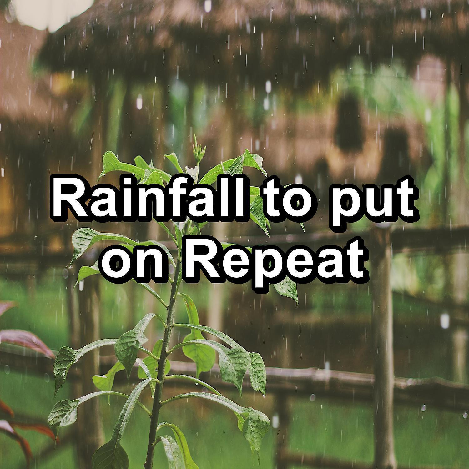Постер альбома Rainfall to put on Repeat