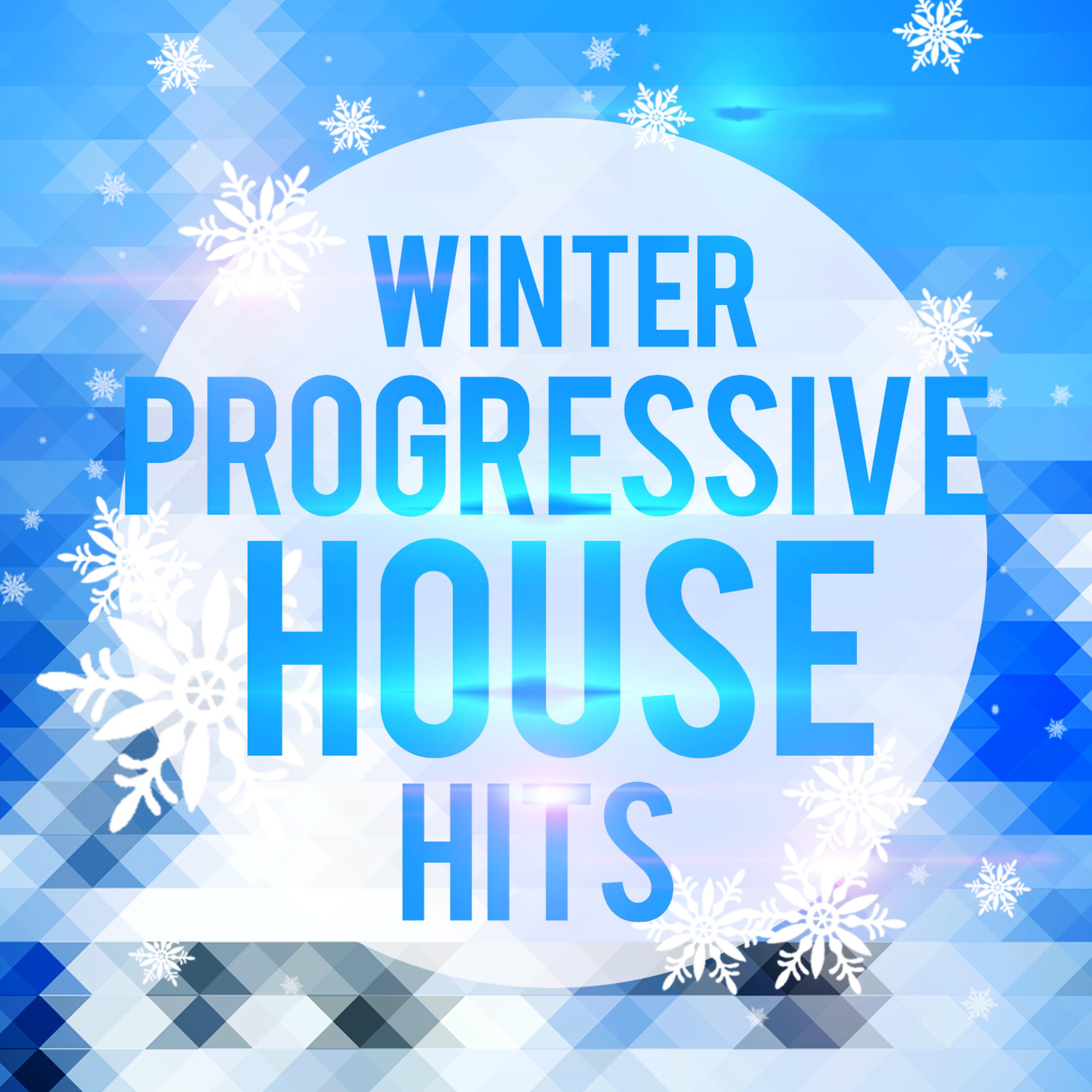 Постер альбома Winter Progressive House Hits