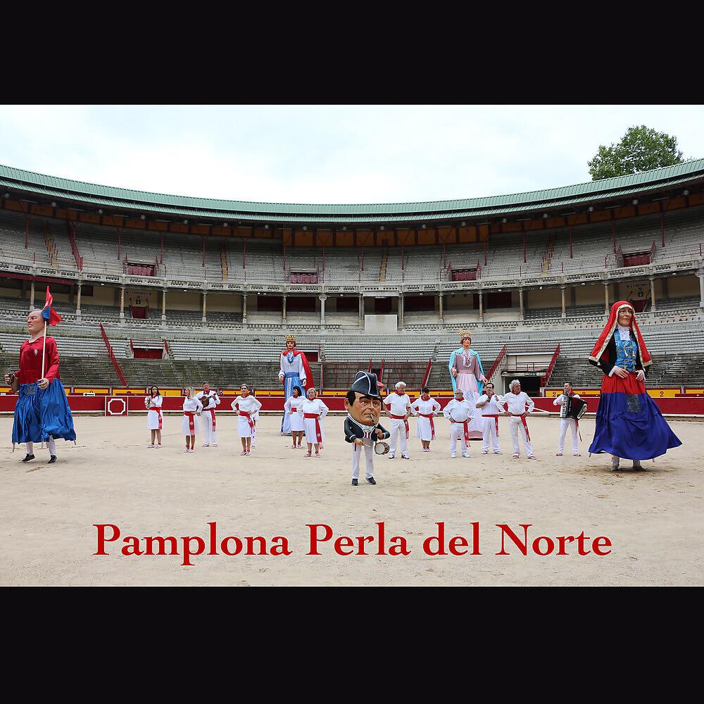 Постер альбома Pamplona Perla del Norte