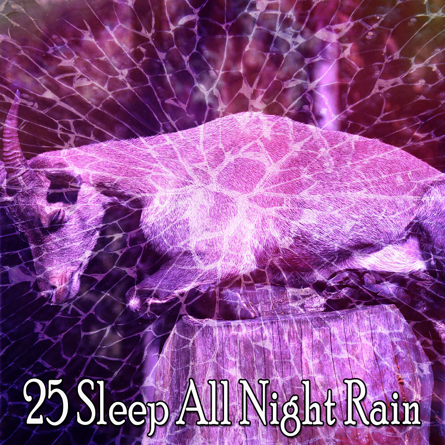 Rain Sounds & White Noise - Absorbing The Storm