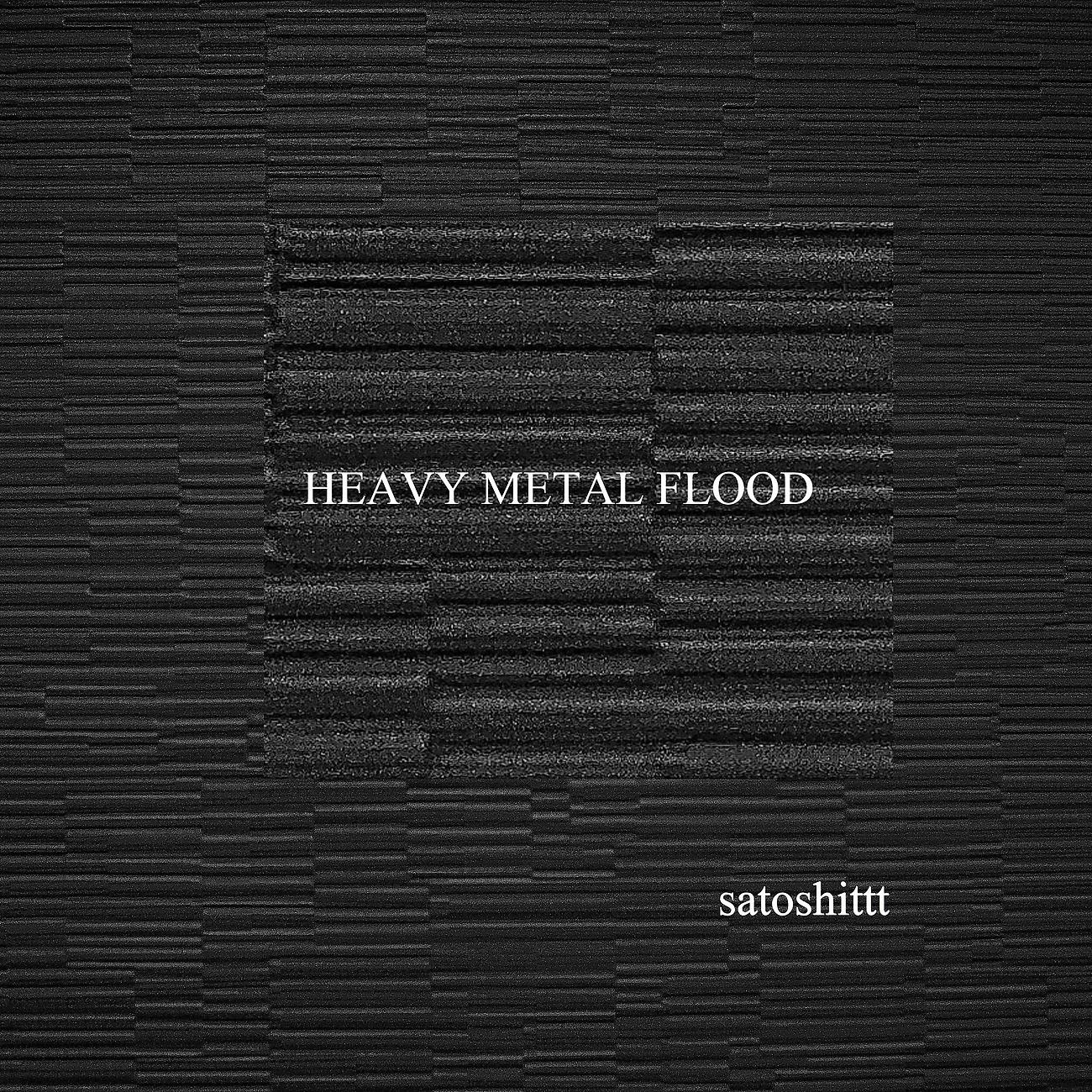Постер альбома HEAVY METAL FLOOD