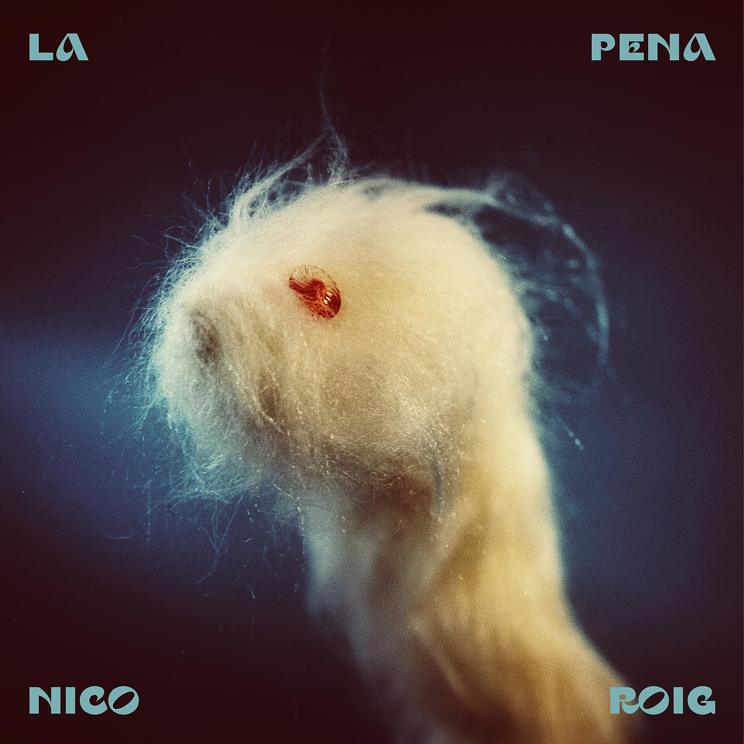 Постер альбома La Pena