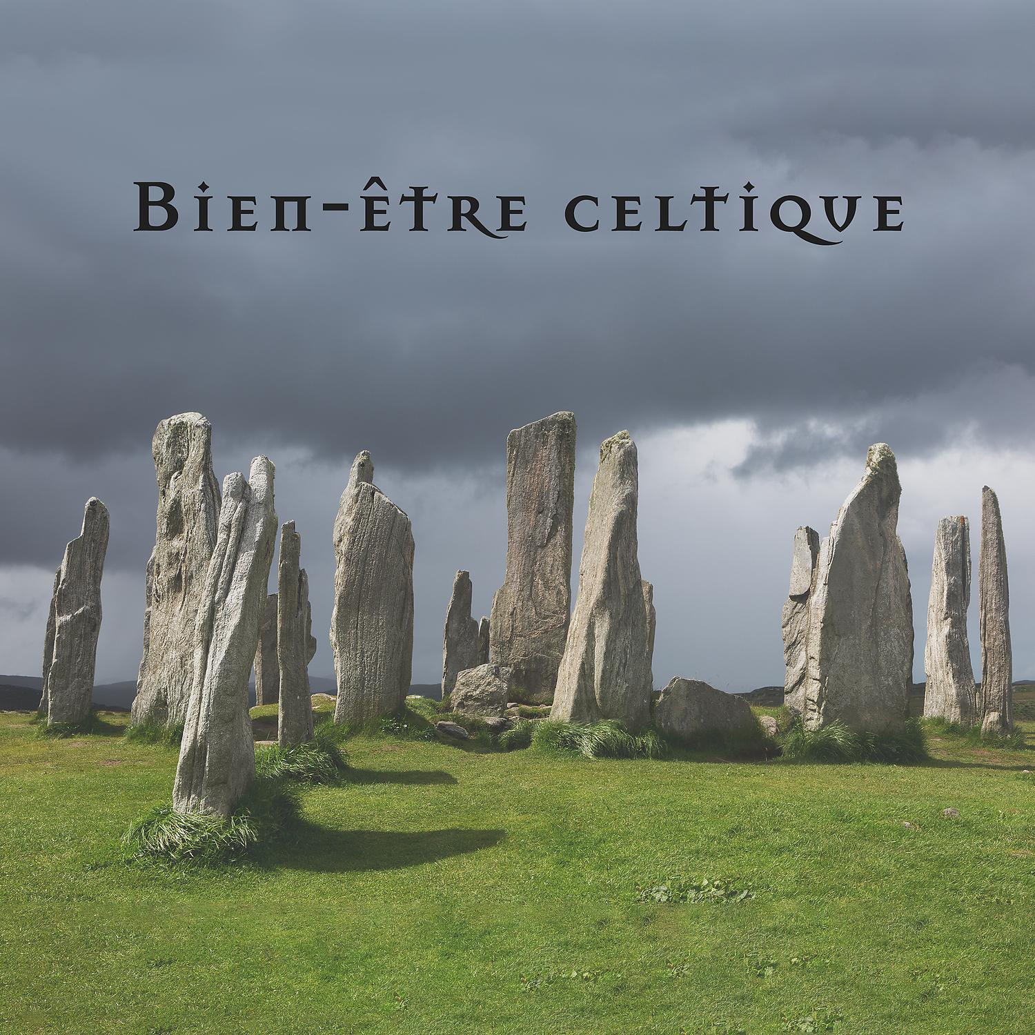 Постер альбома Bien-être celtique