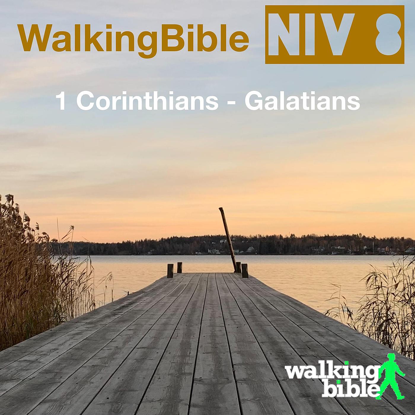 Постер альбома WalkingBible Niv 8 1 Corinthians - Galatians