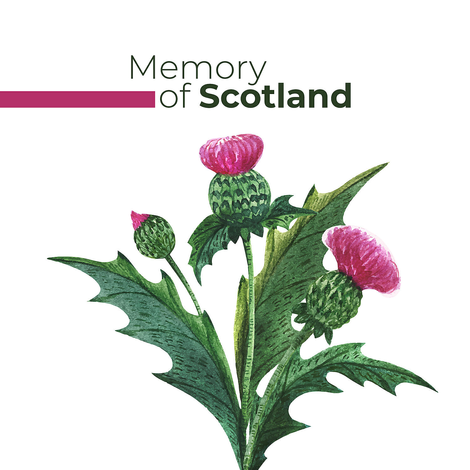 Hugh Morrison - March, Strathspey and Reel