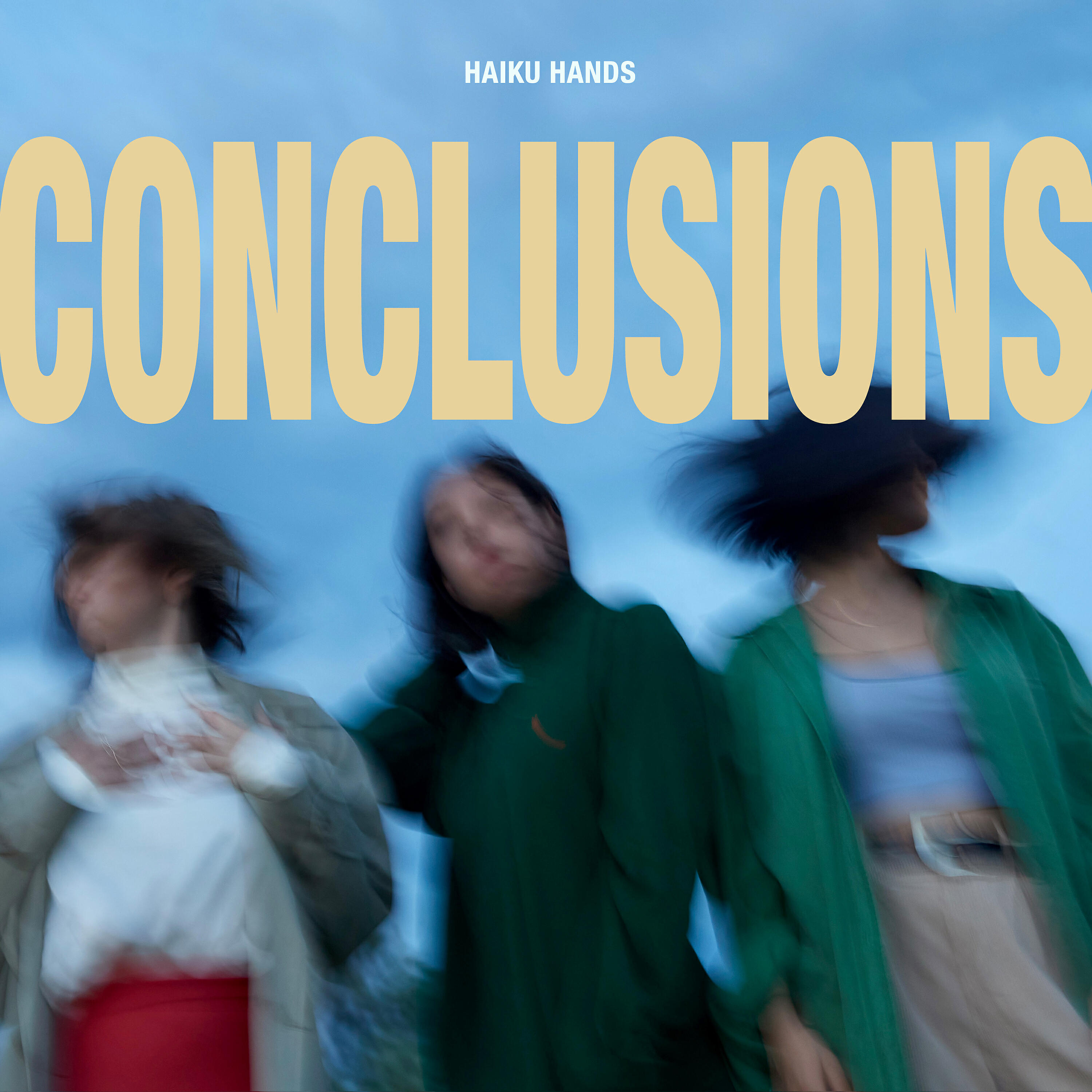 Haiku Hands - Conclusions