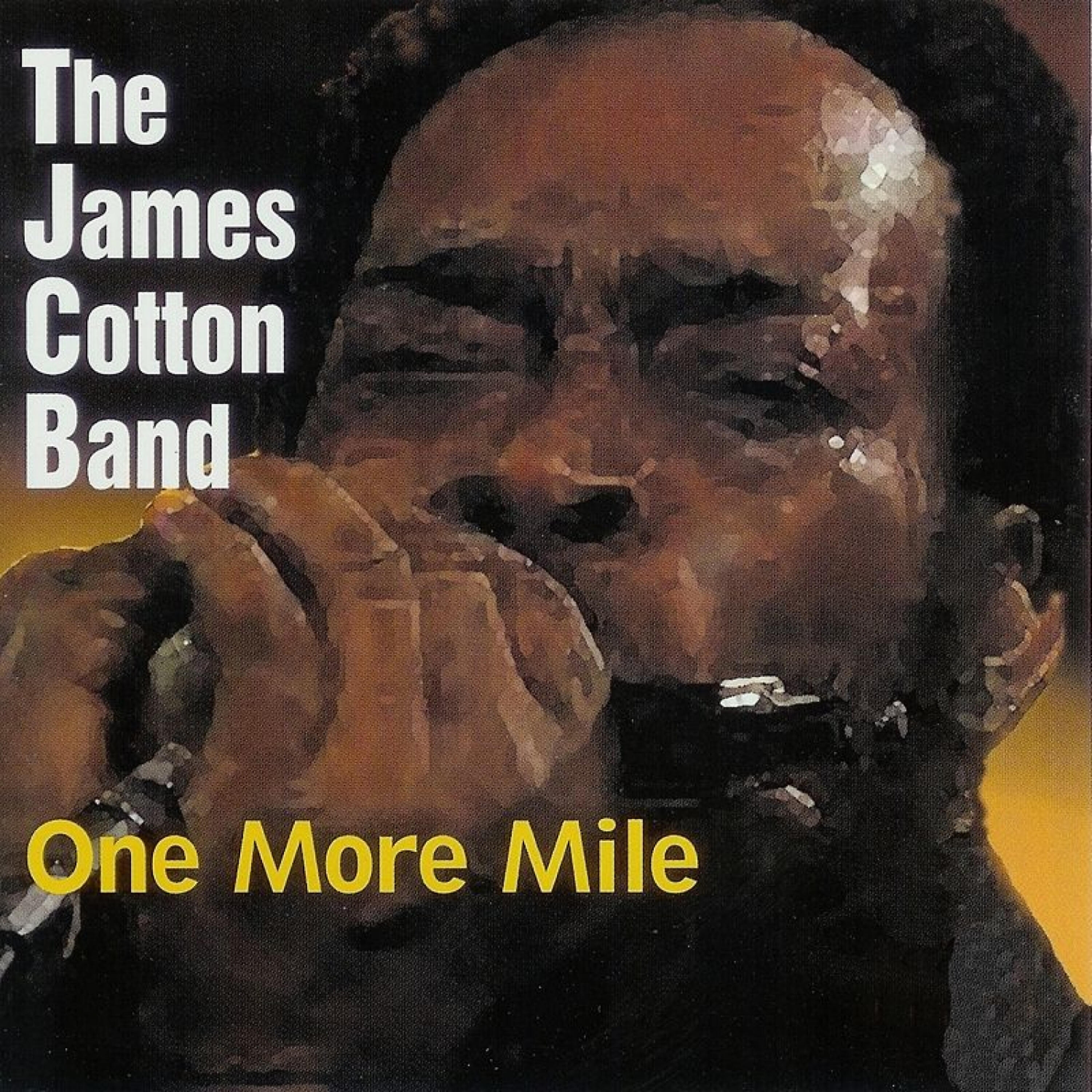 The James Cotton Band - Born in Missouri