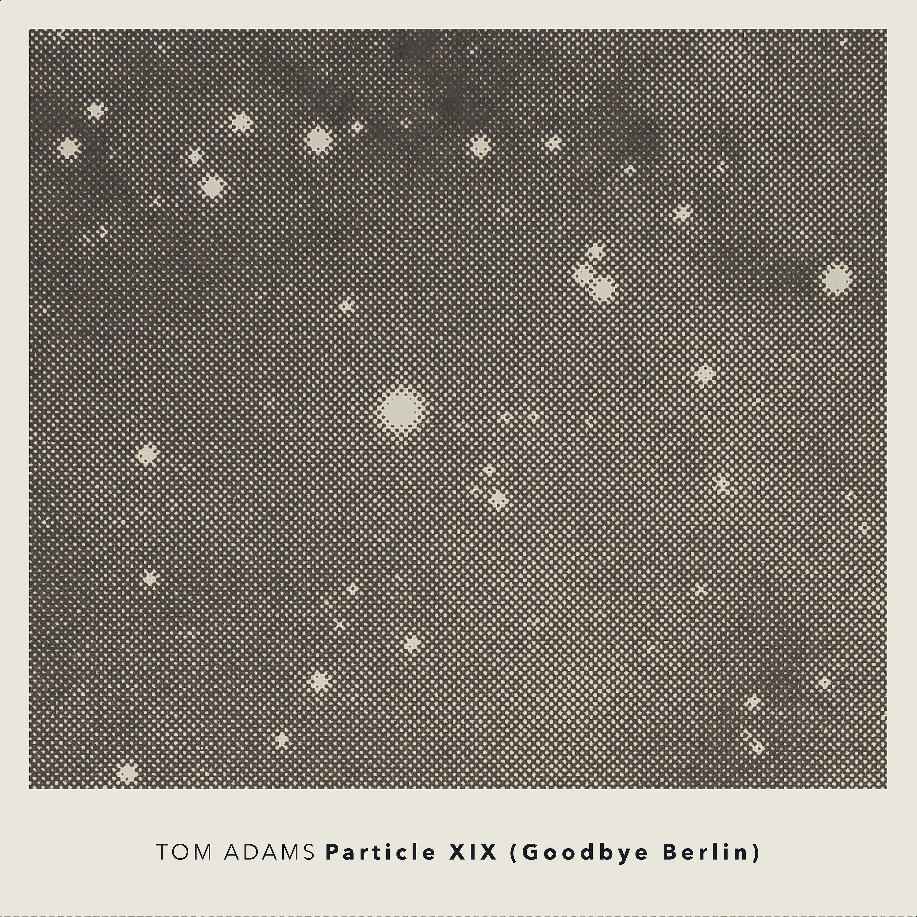 Постер альбома Particle XIX (Goodbye Berlin)