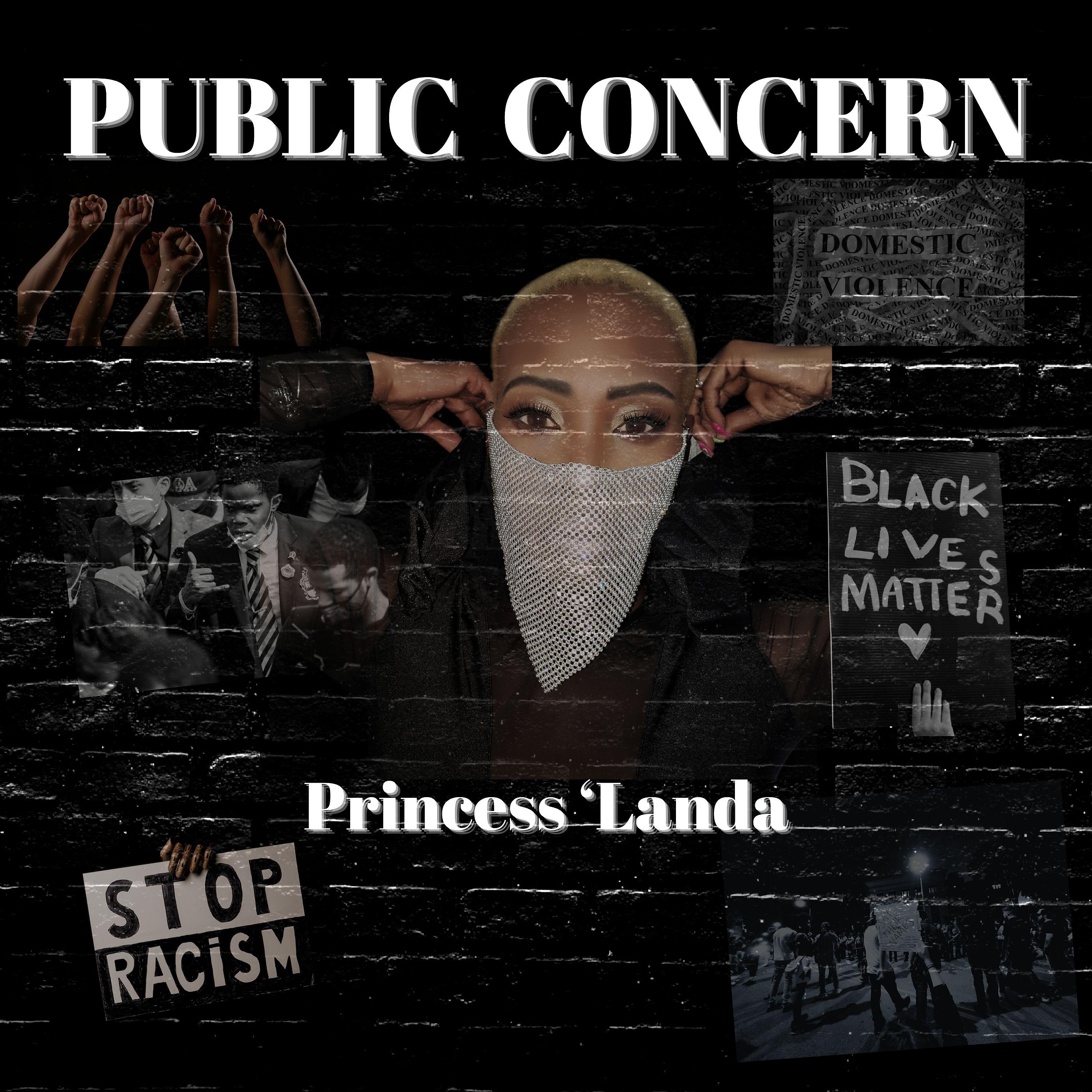 Постер альбома Public Concern