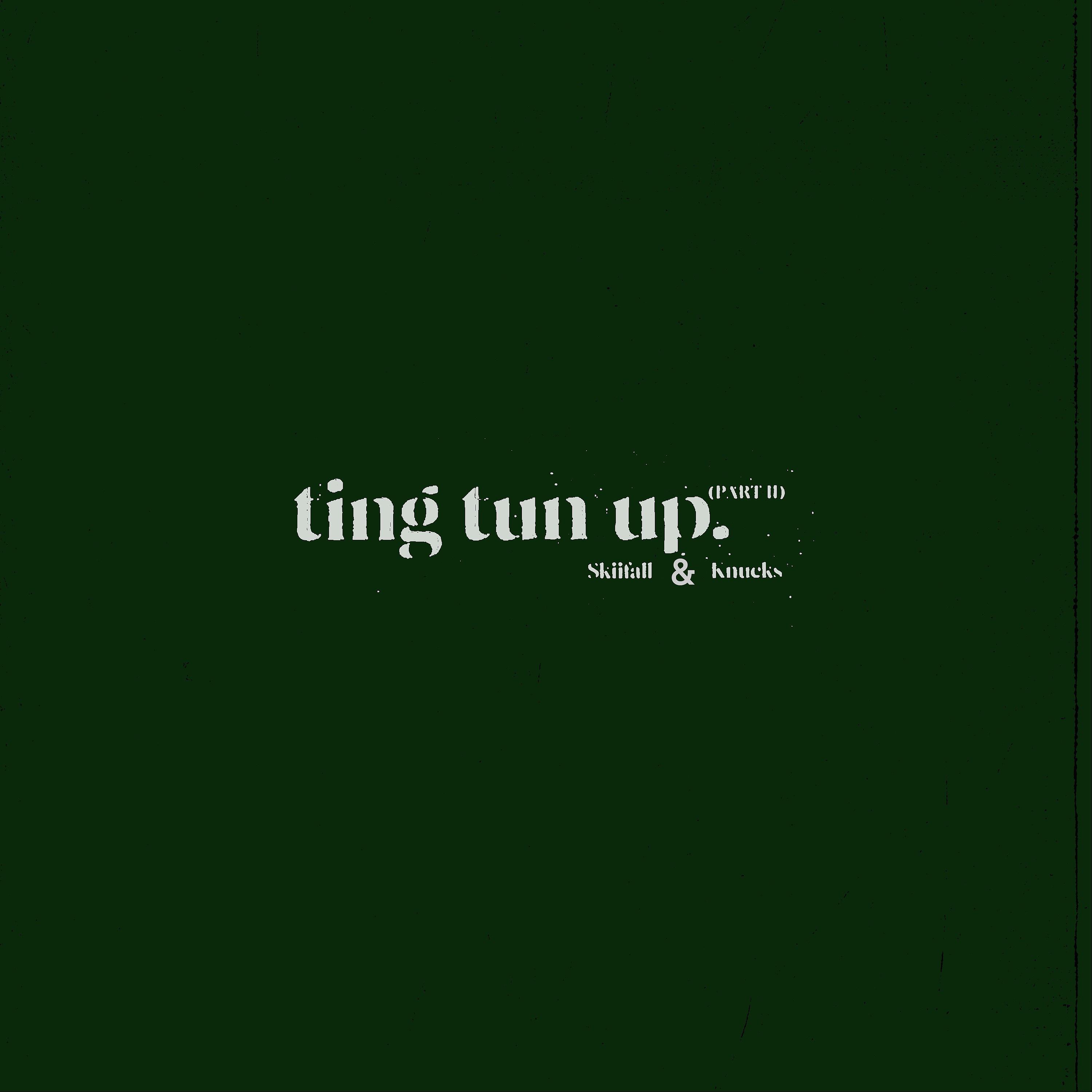 Постер альбома Ting Tun Up Part II
