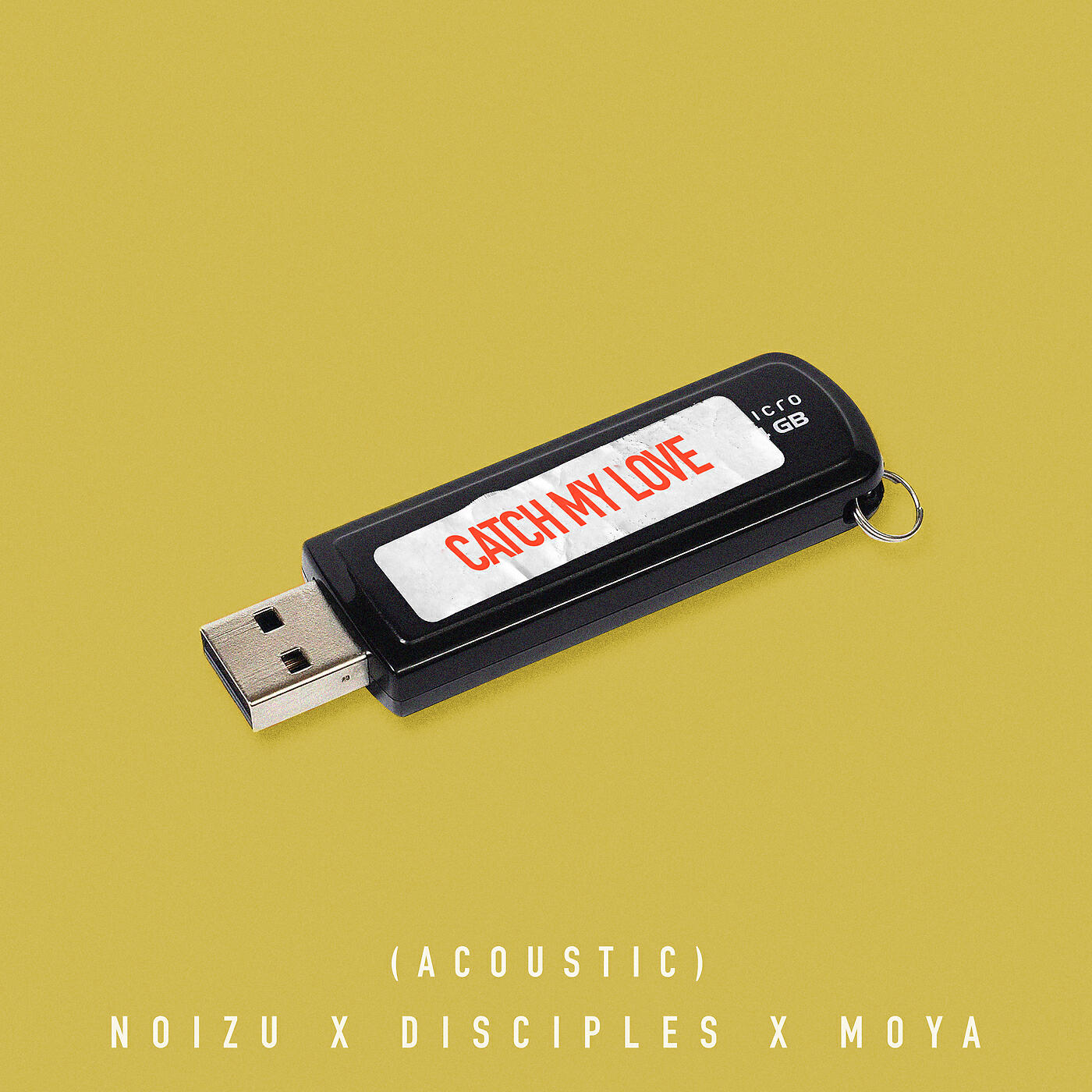 Noizu - Catch My Love (Acoustic)