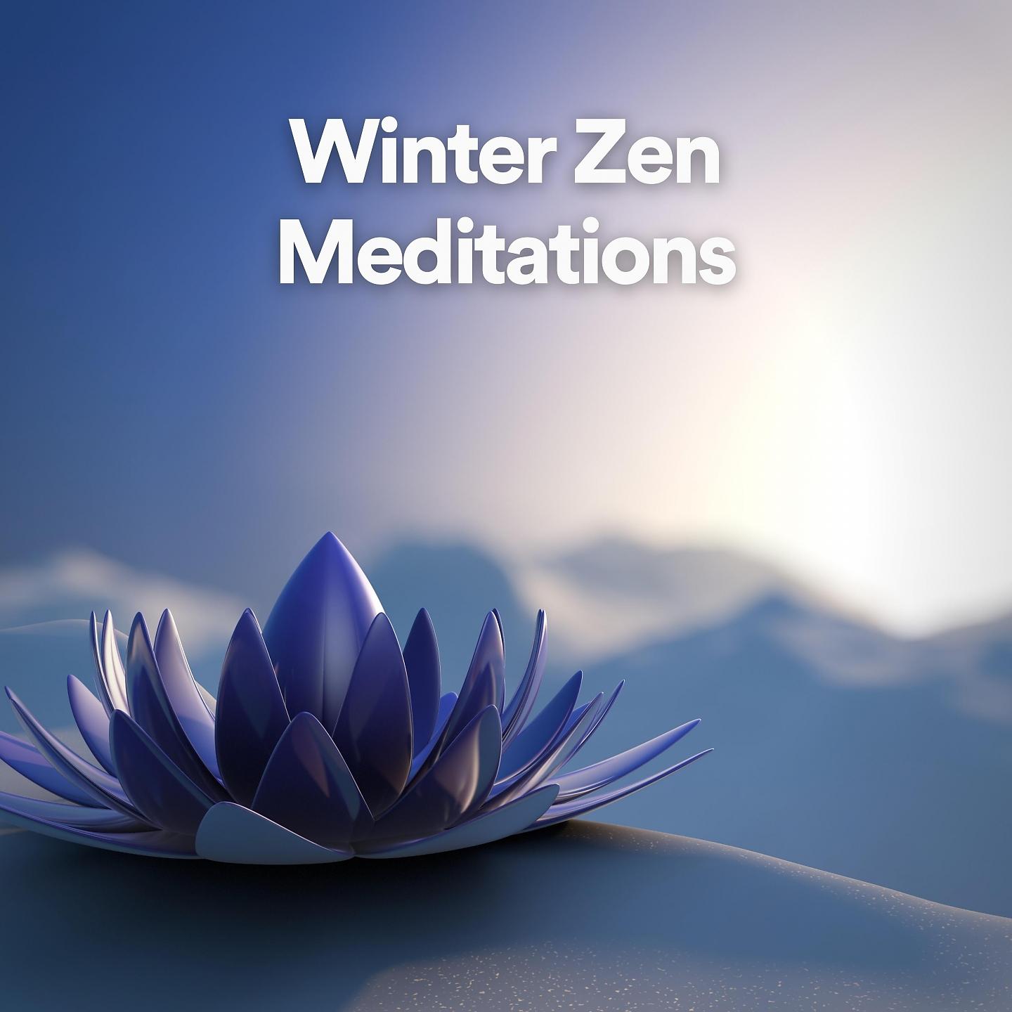 Постер альбома Winter Zen Meditations