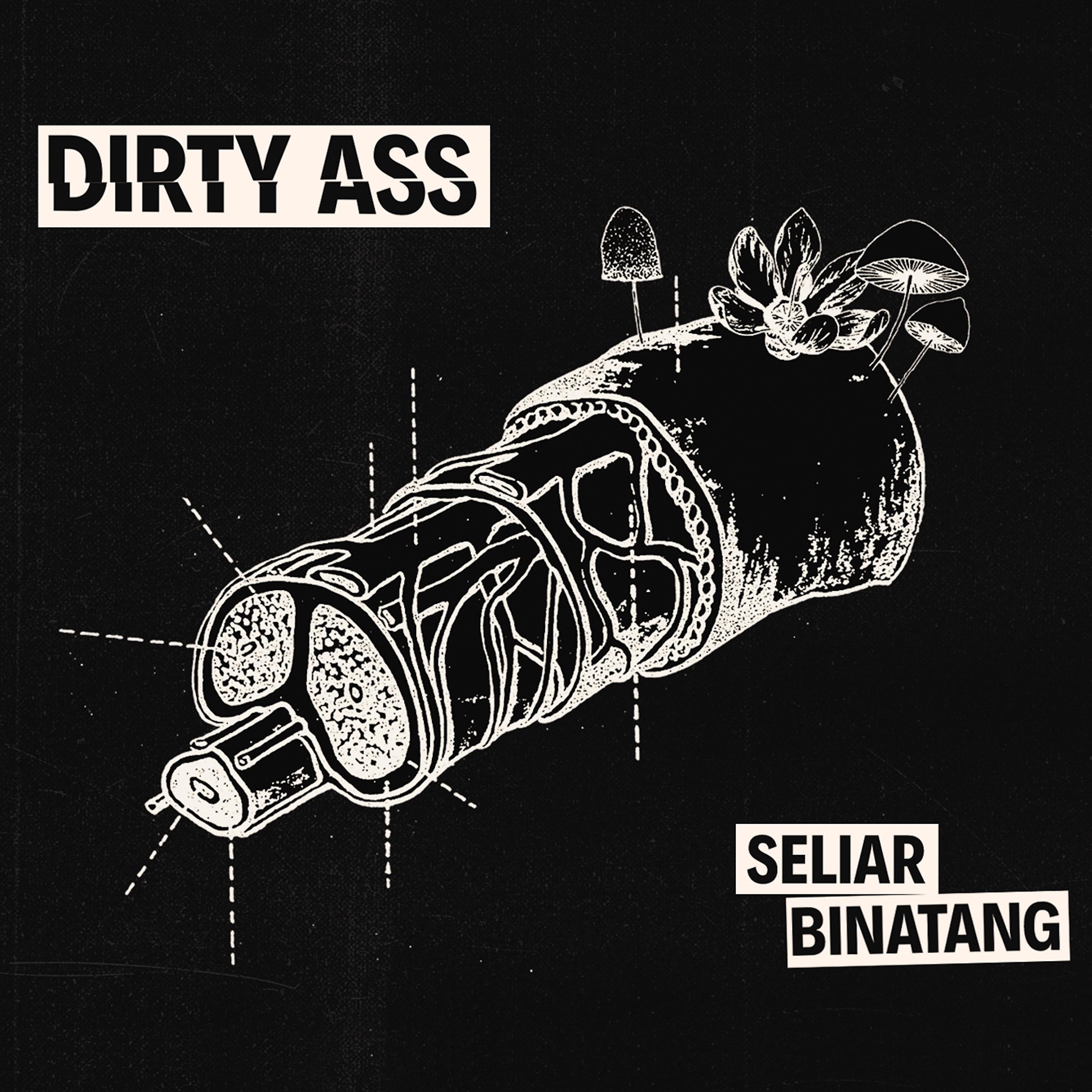 Постер альбома Seliar Binatang