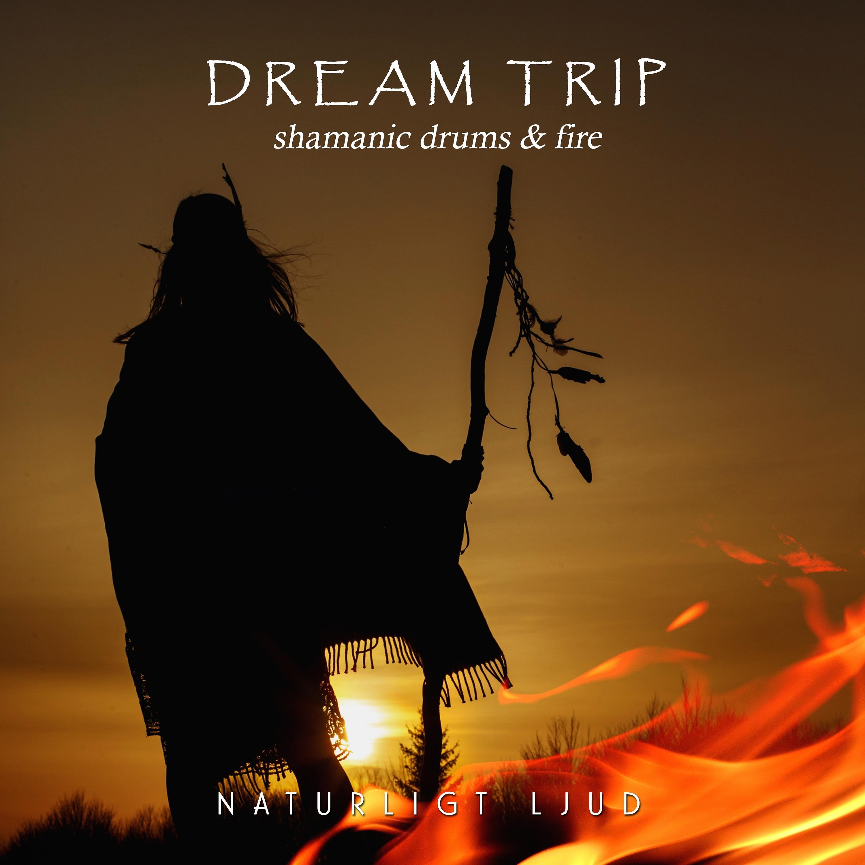 Постер альбома Dream Trip Shamanic Drums & Fire