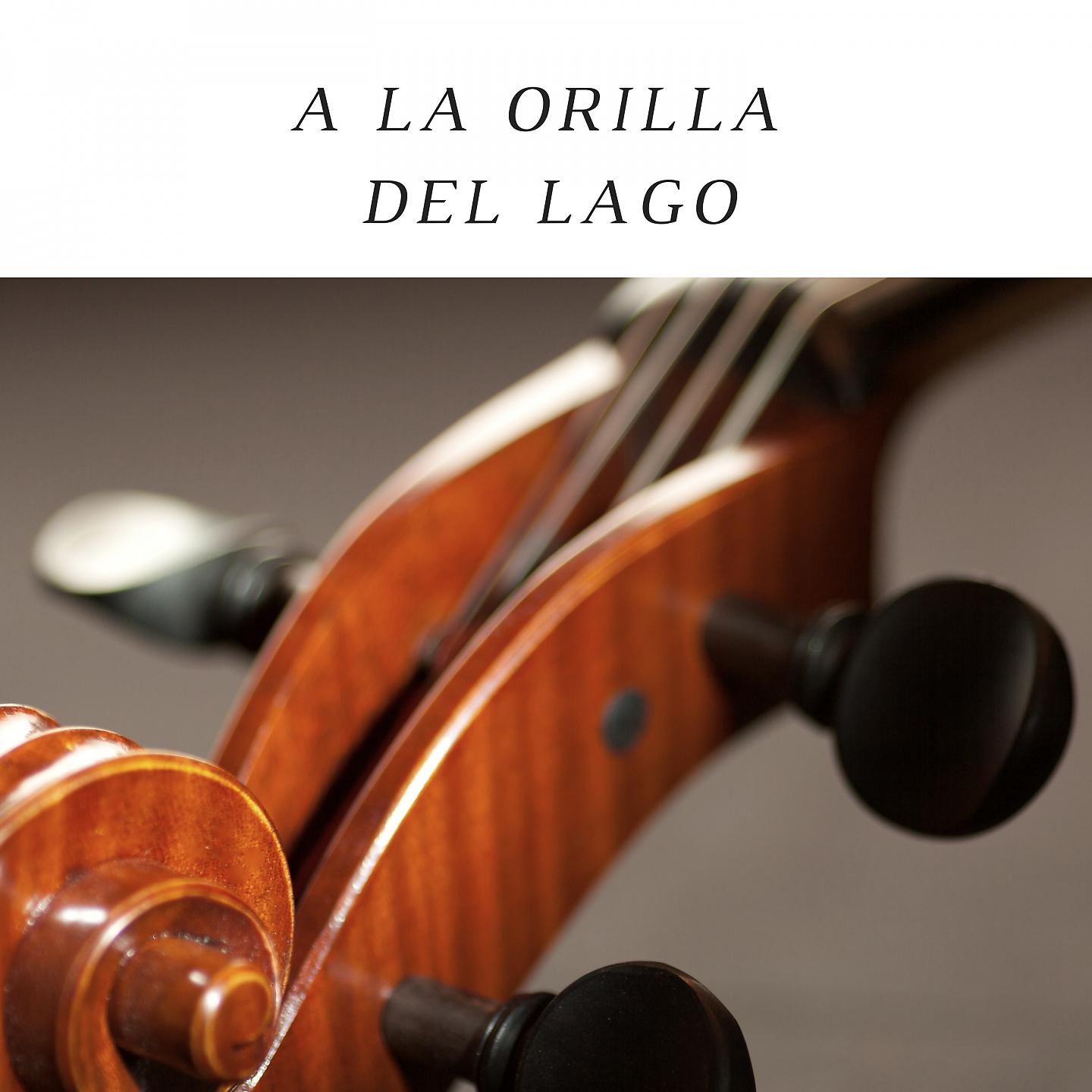 Постер альбома A La Orilla Del Lago