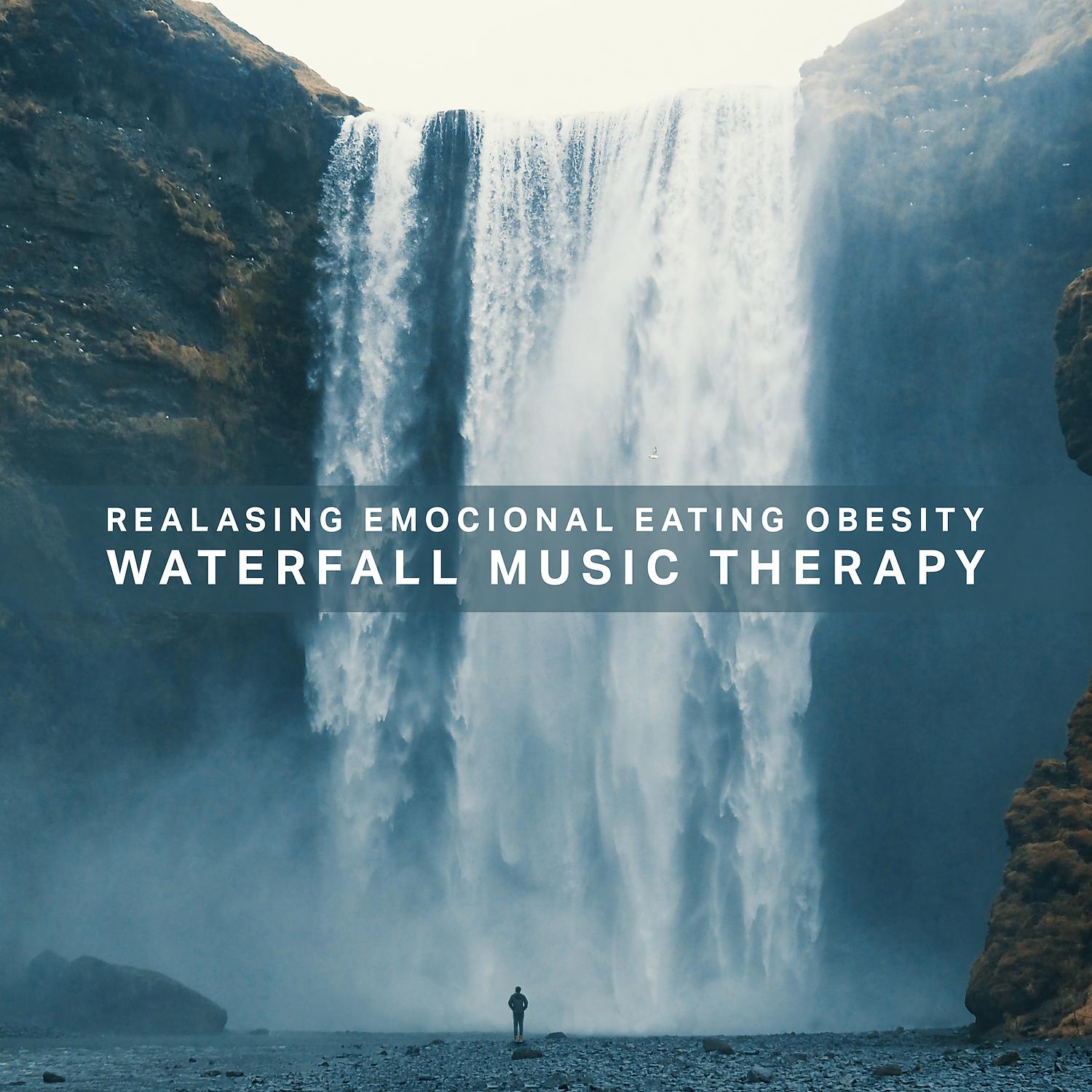 Постер альбома Realasing Emocional Eating Obesity: Waterfall Music Therapy