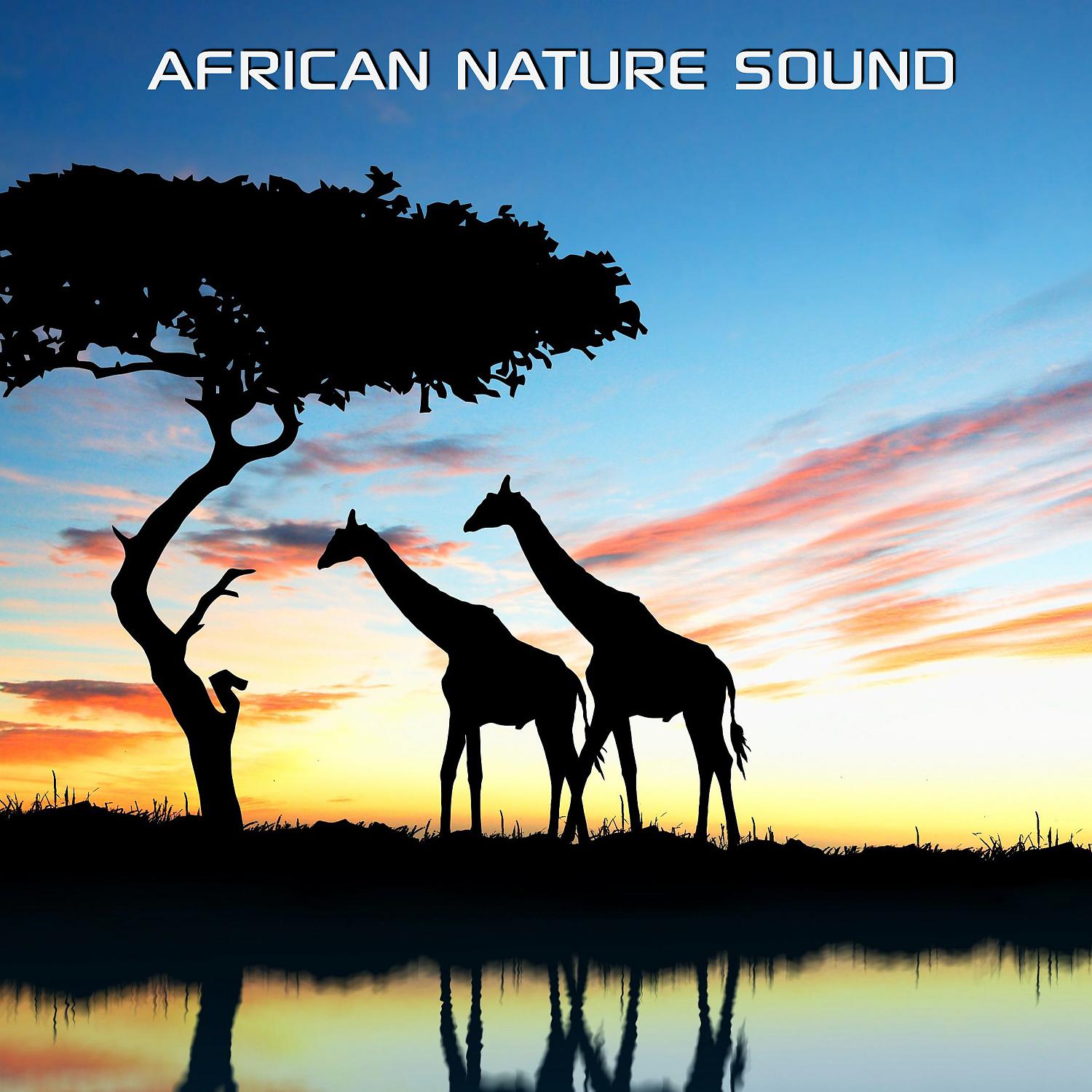Постер альбома African Nature Sound (feat. Nature Soundscapes, Discovery Soundscapes & Discovery Nature Sound)