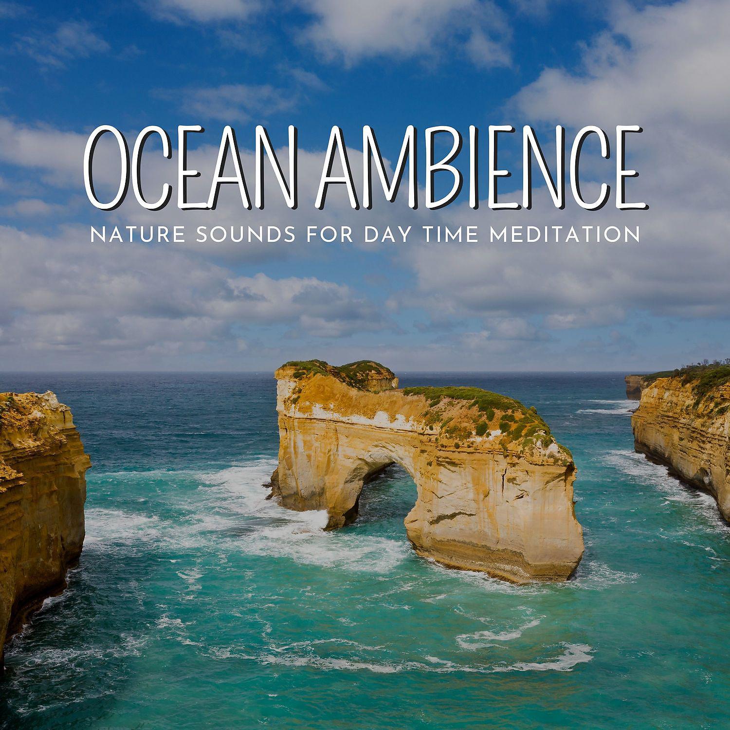 Постер альбома Ocean Ambience - Nature Sounds for Day Time Meditation