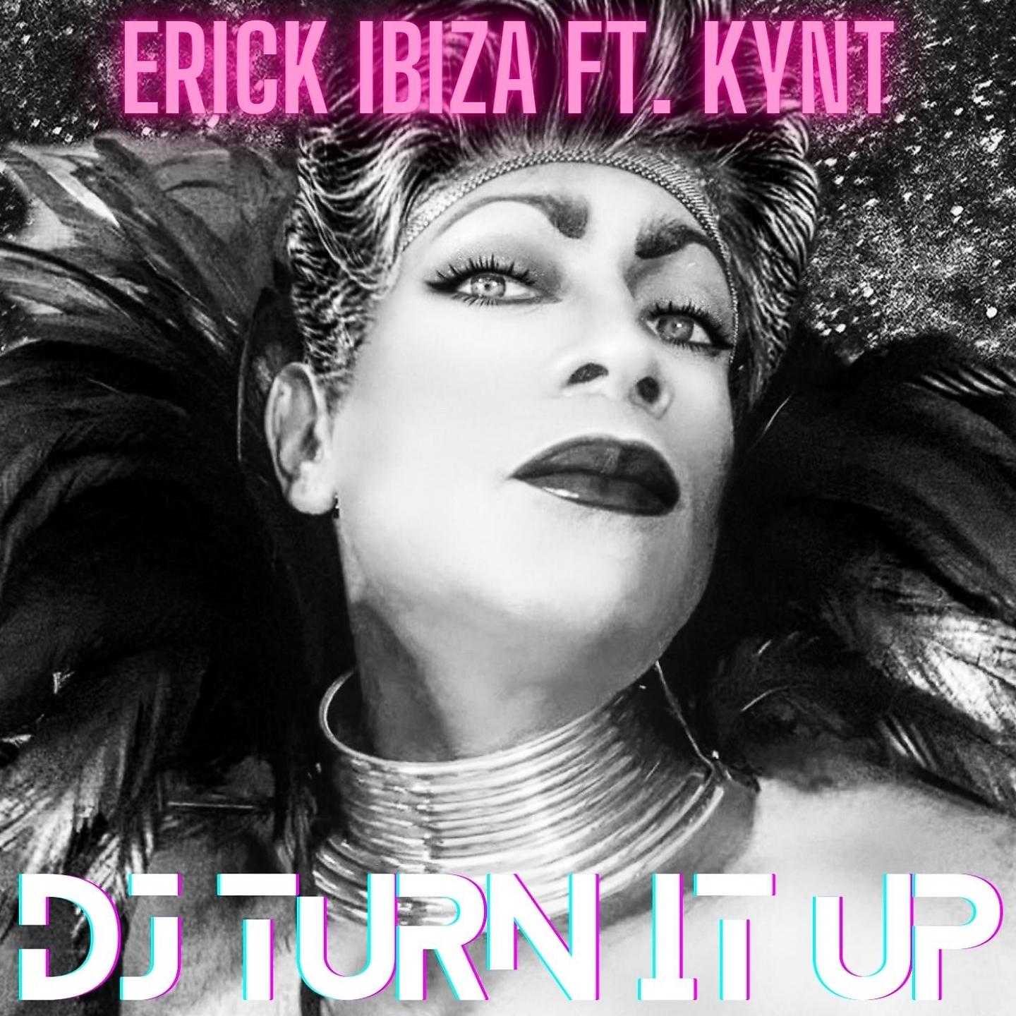 Постер альбома Dj Turn It Up
