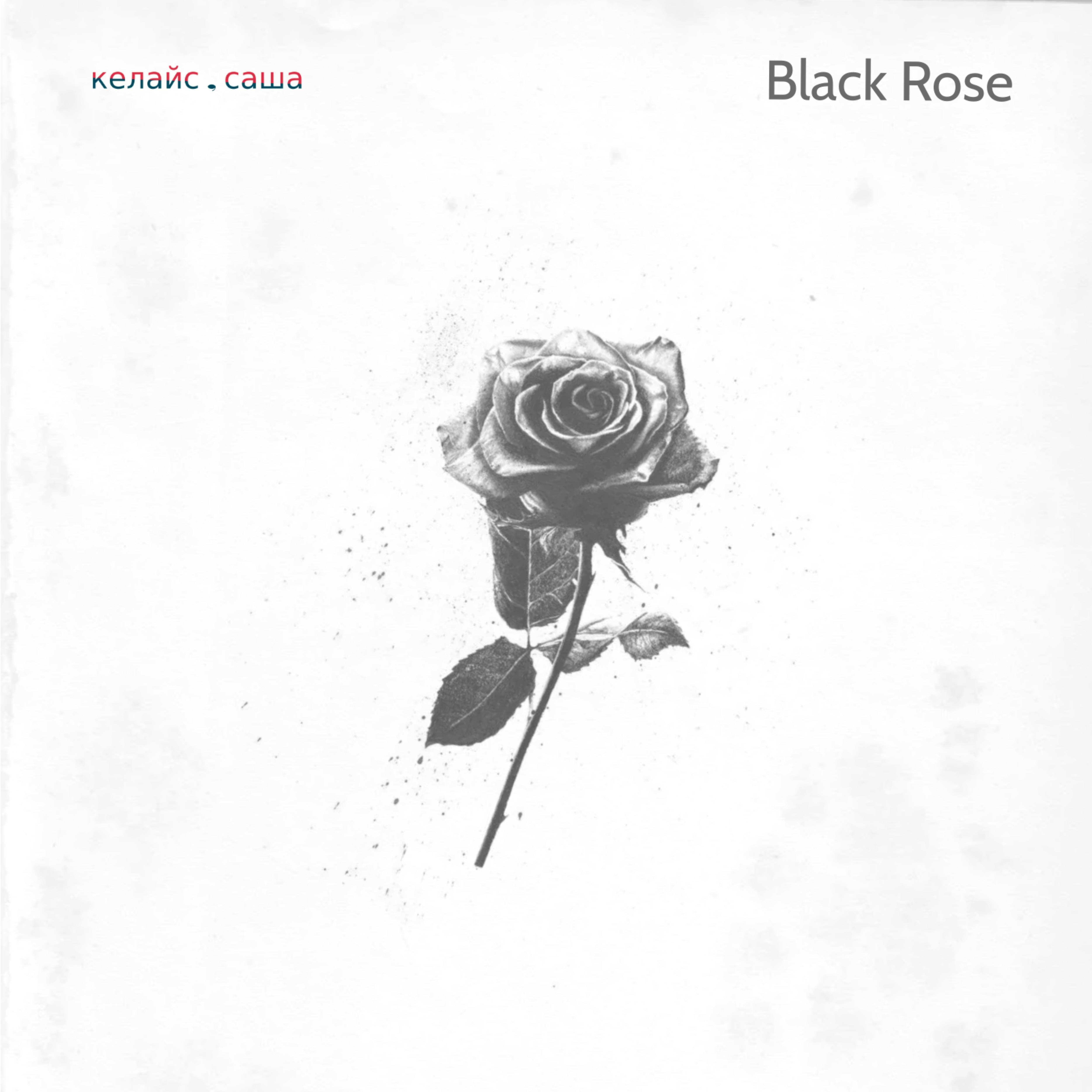 Постер альбома Btack Rose