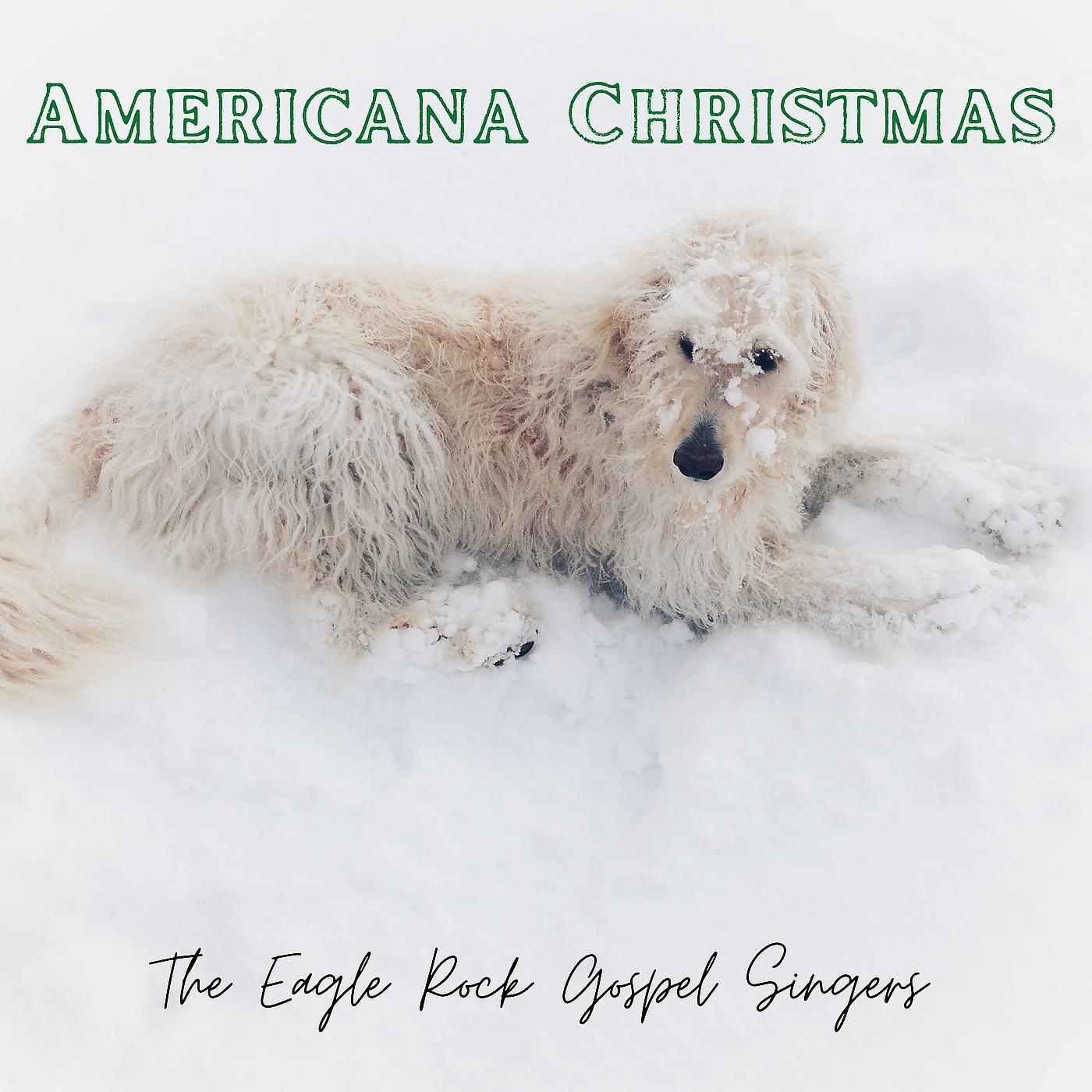 Постер альбома Americana Christmas