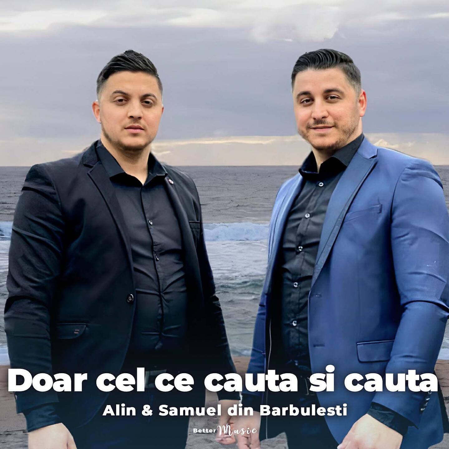 Alin din Barbulesti - Doar cel ce cauta si cauta